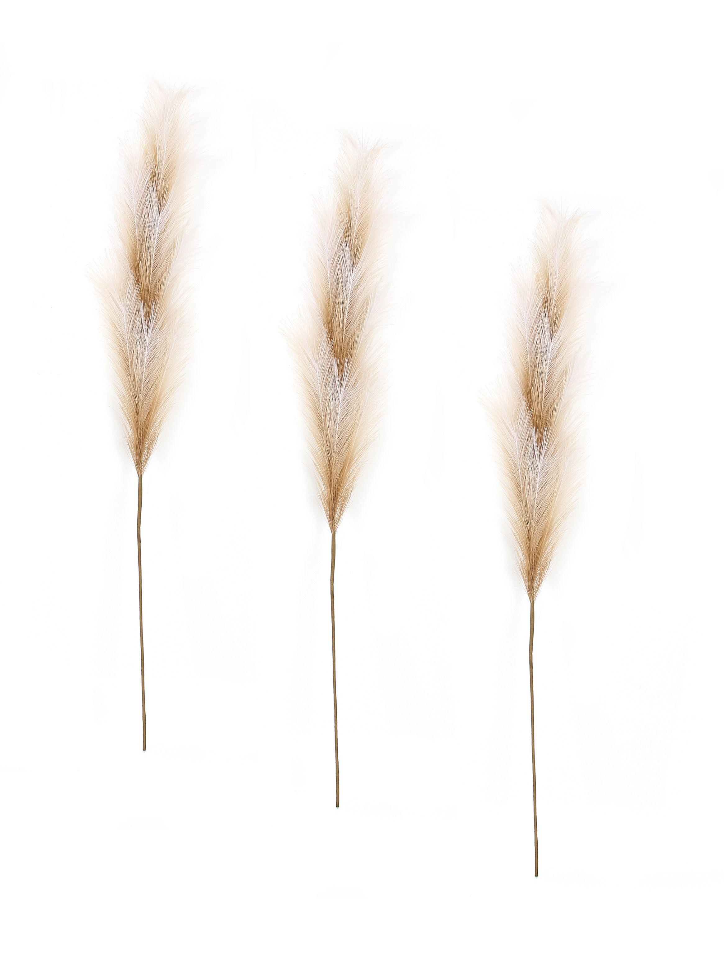 Set de 3 Pampas 130 cm-1