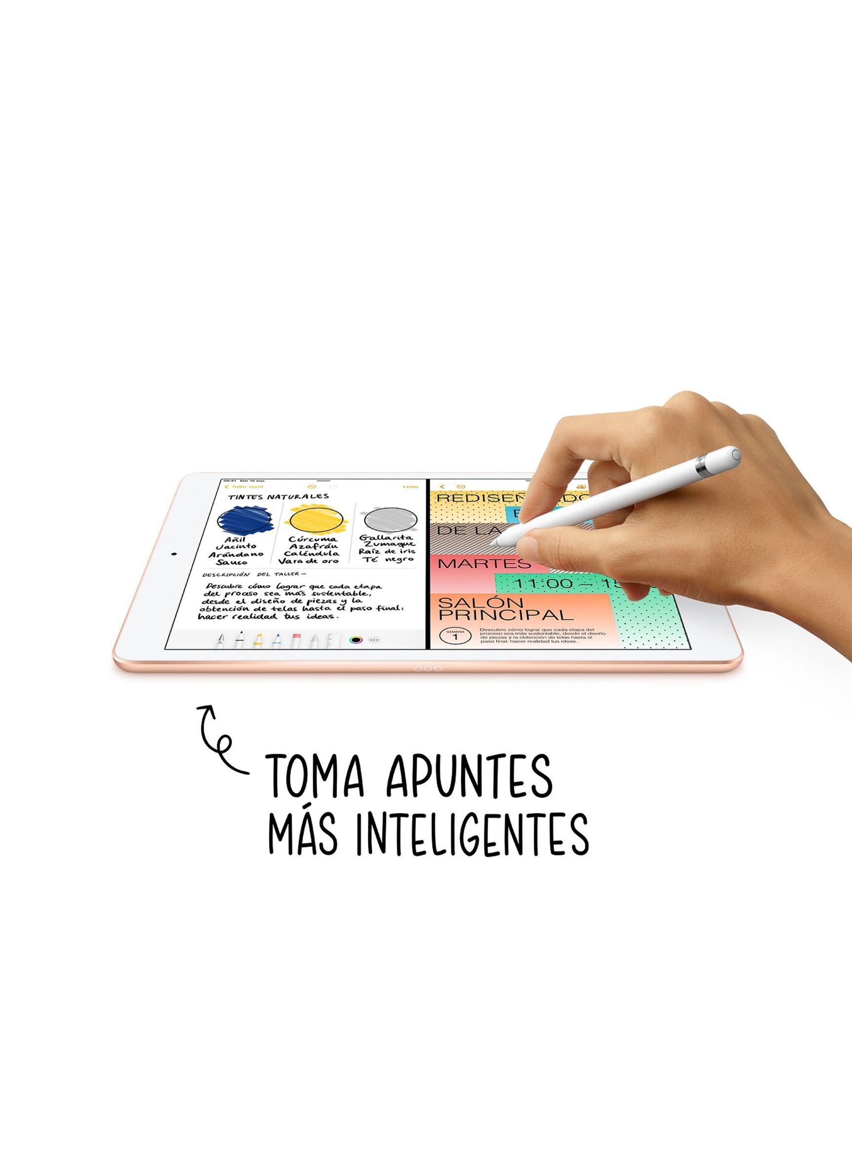 iPad 10.2" 32 GB Wi-Fi + Cellular Gris espacial-9