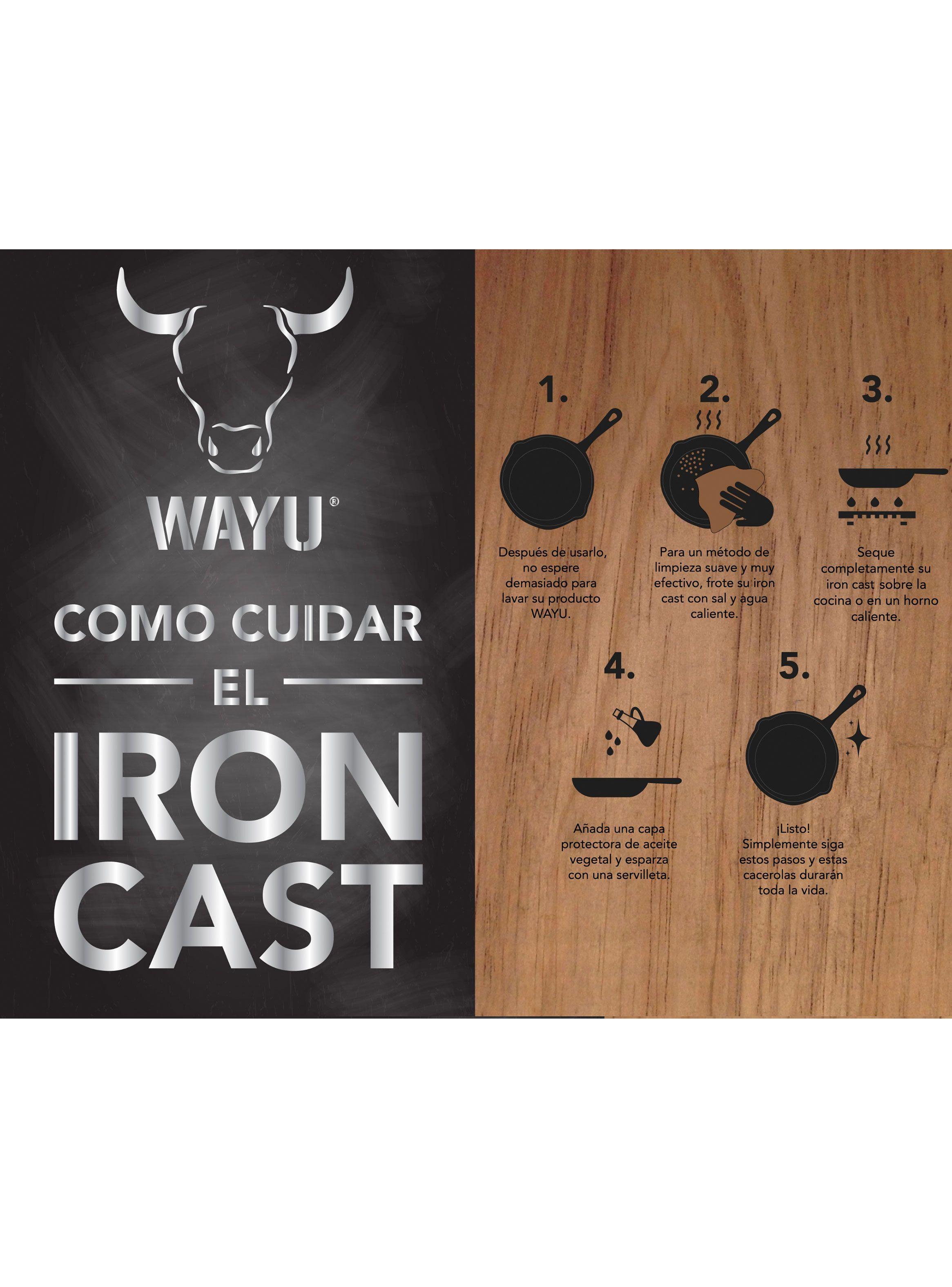 Wok Plancha Iron Cast-2