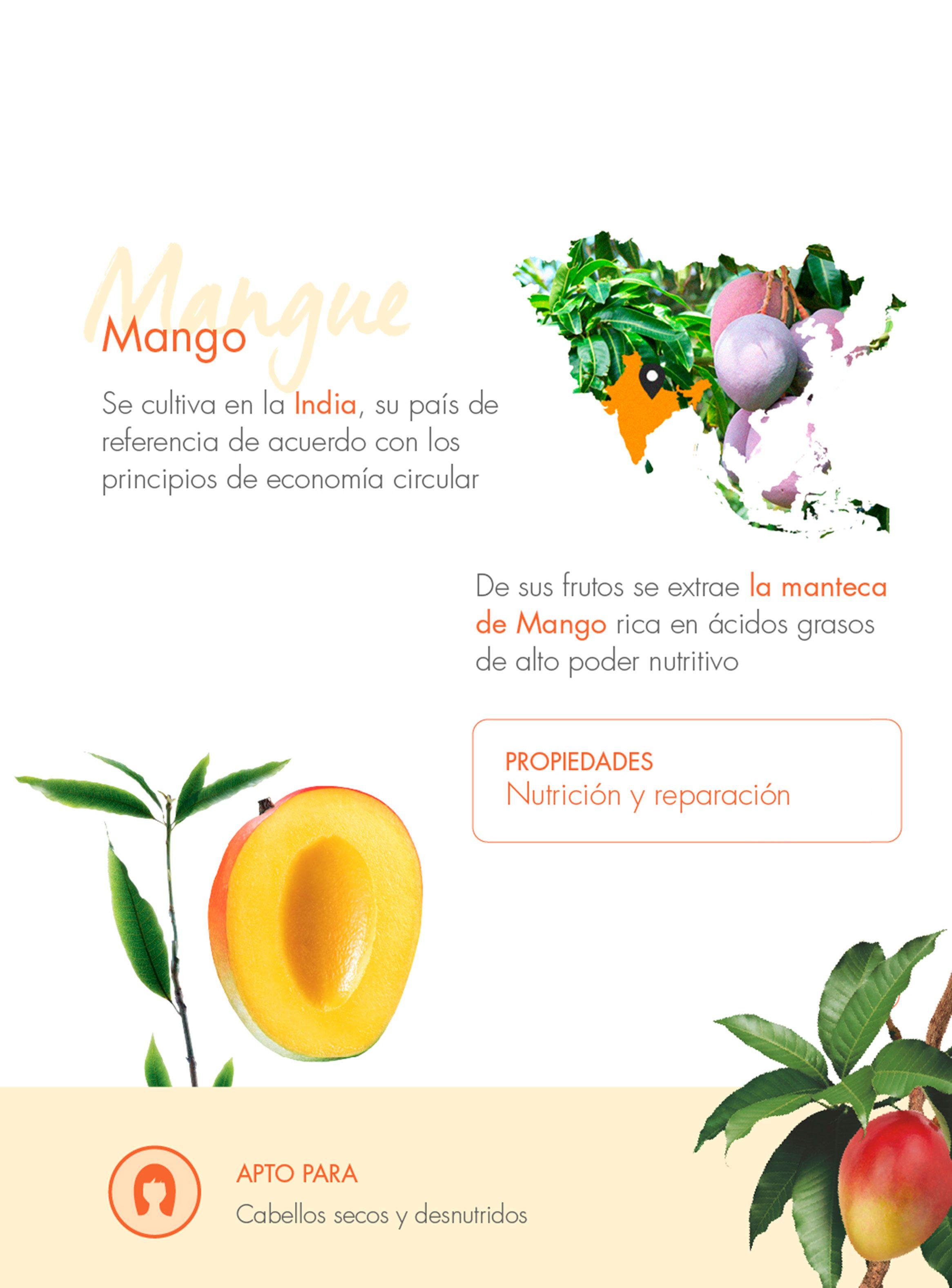 Mascarilla Reparadora a la Manteca de Mango 150 ml-5