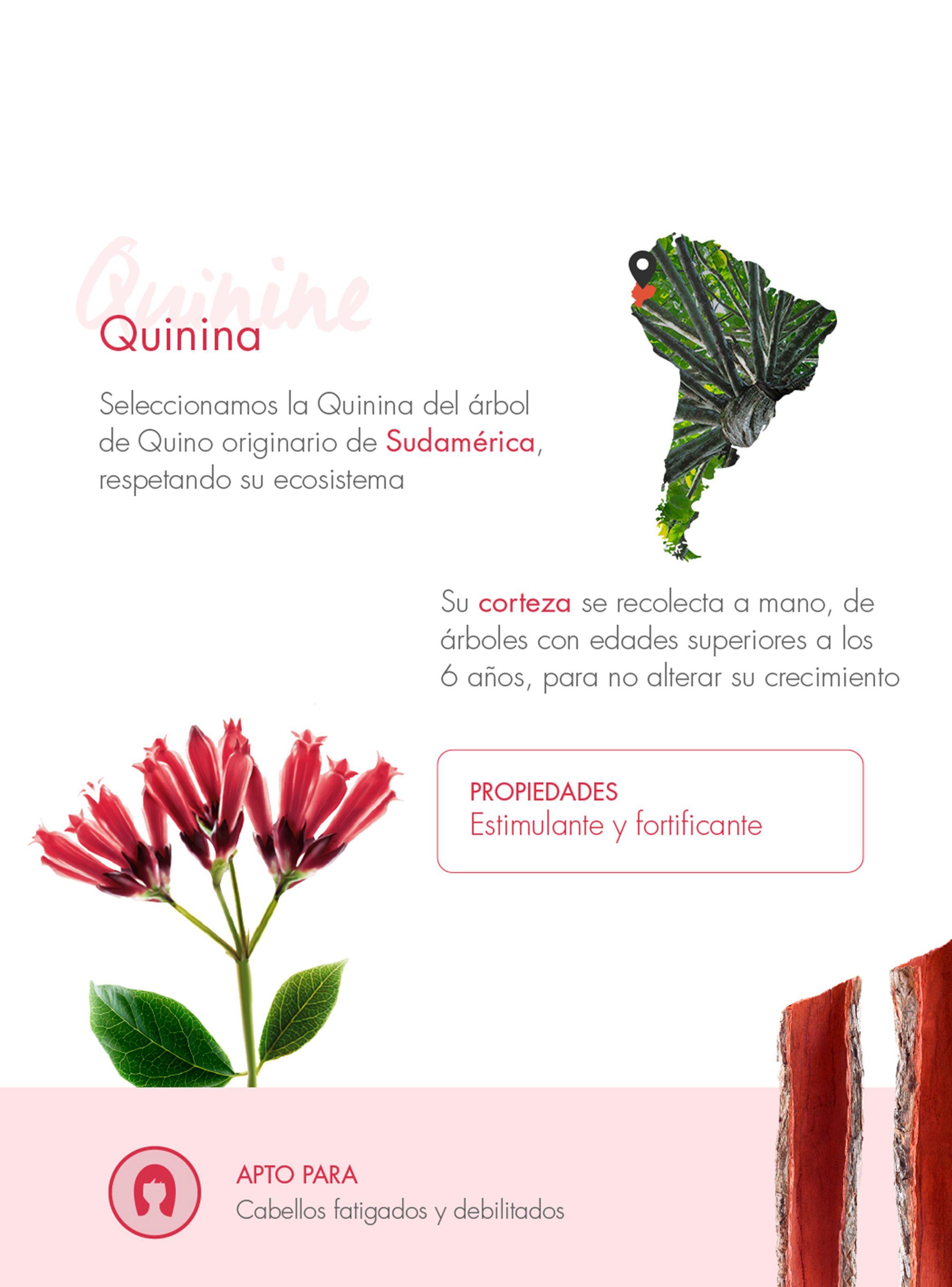 Shampoo Fortificante a la Quinina con Vitaminas B 400 ml-5