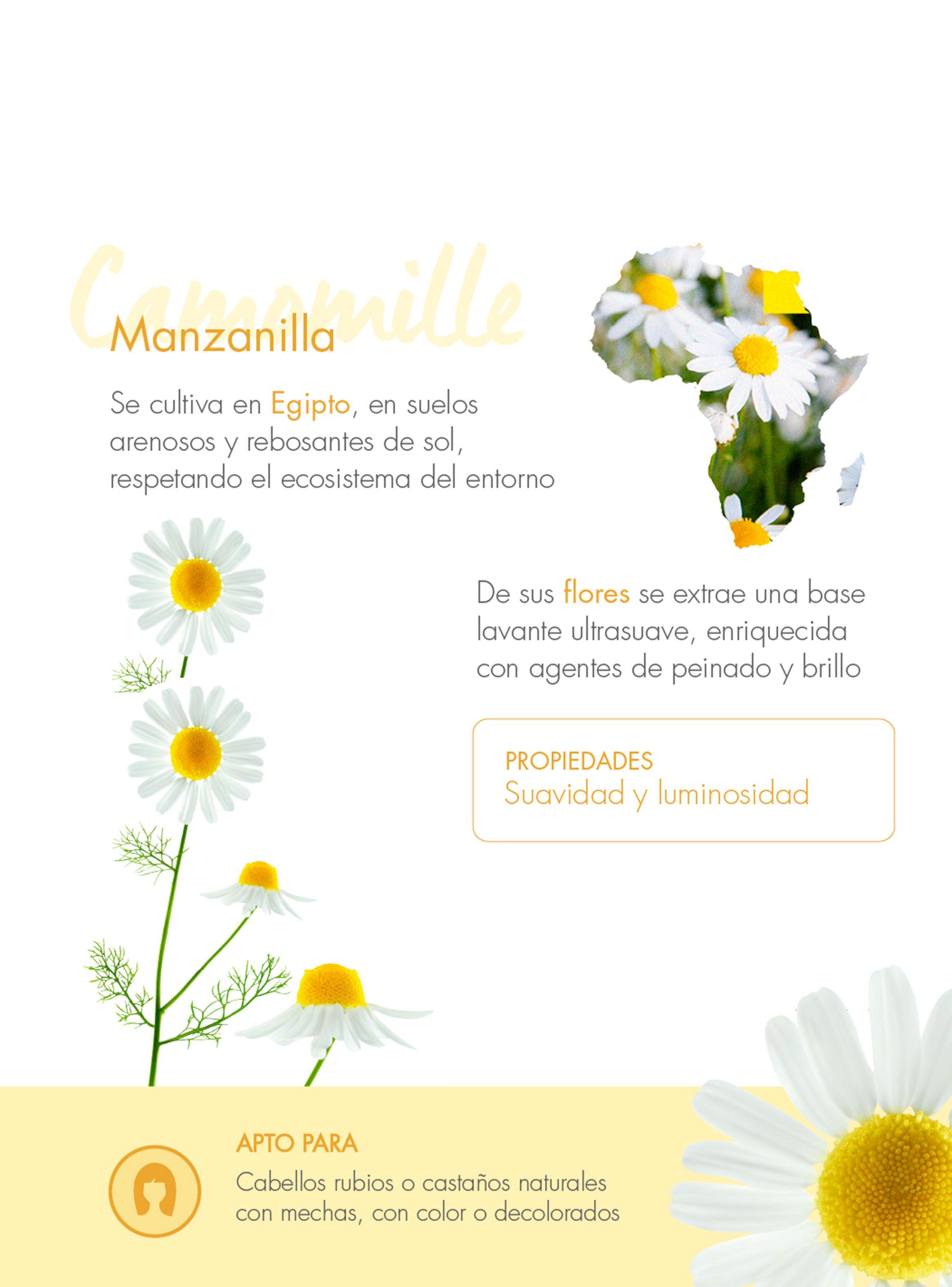 Shampoo Iluminador a la Manzanilla 400 ml-4