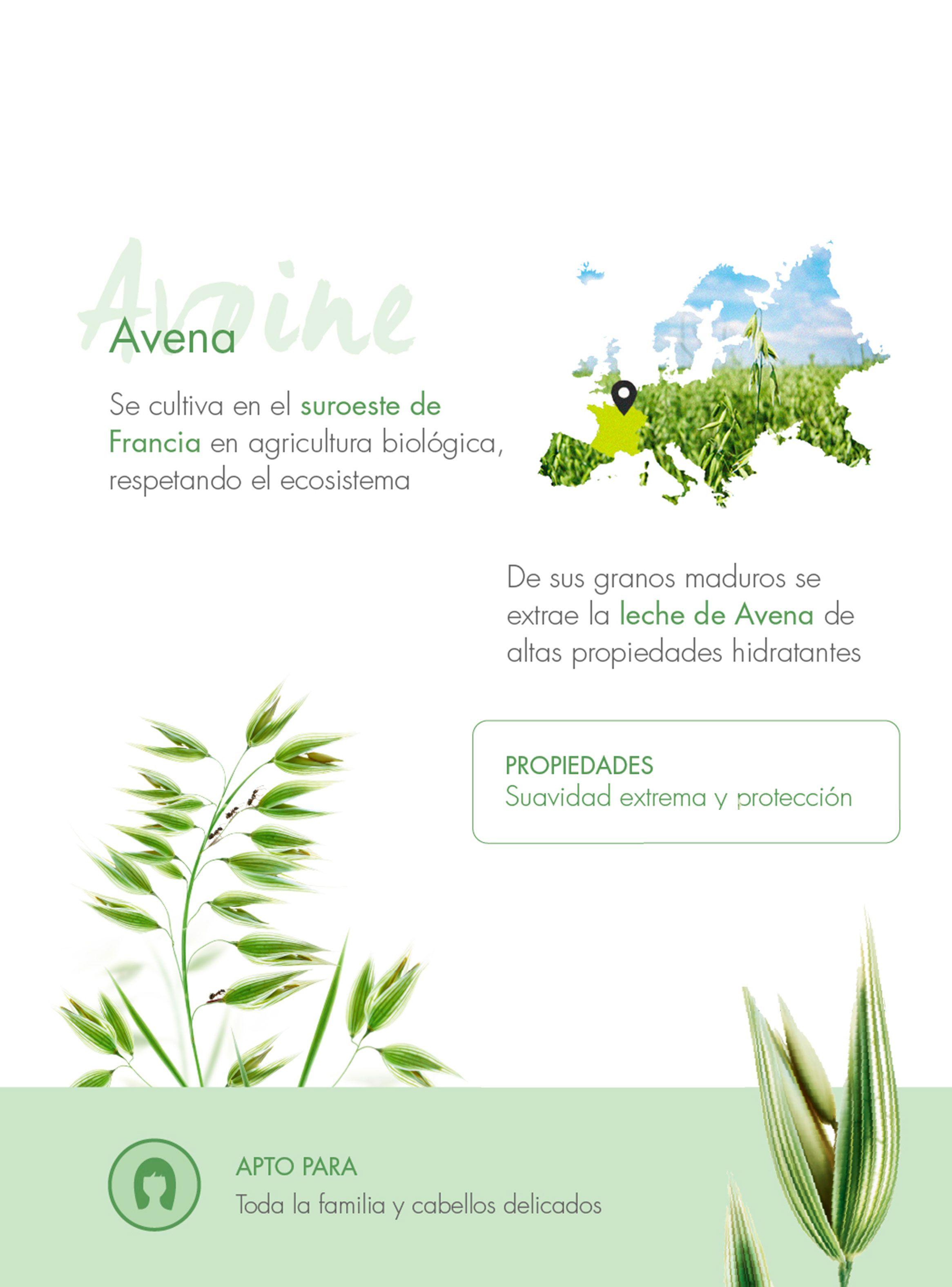 Shampoo Extrasuave a la Leche de Avena 400 ml-4
