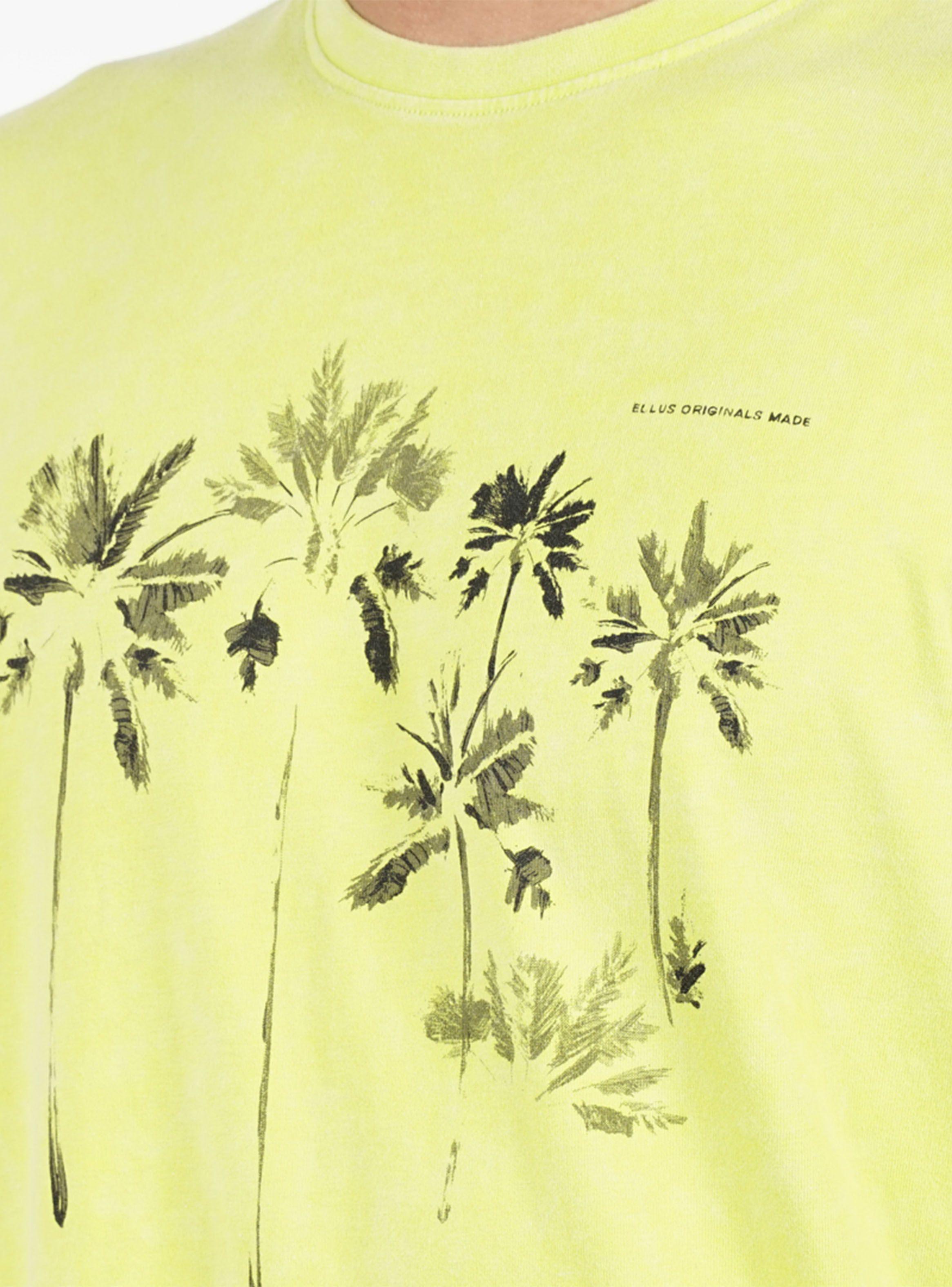 Polera MC Print Frontal Palmeras-2