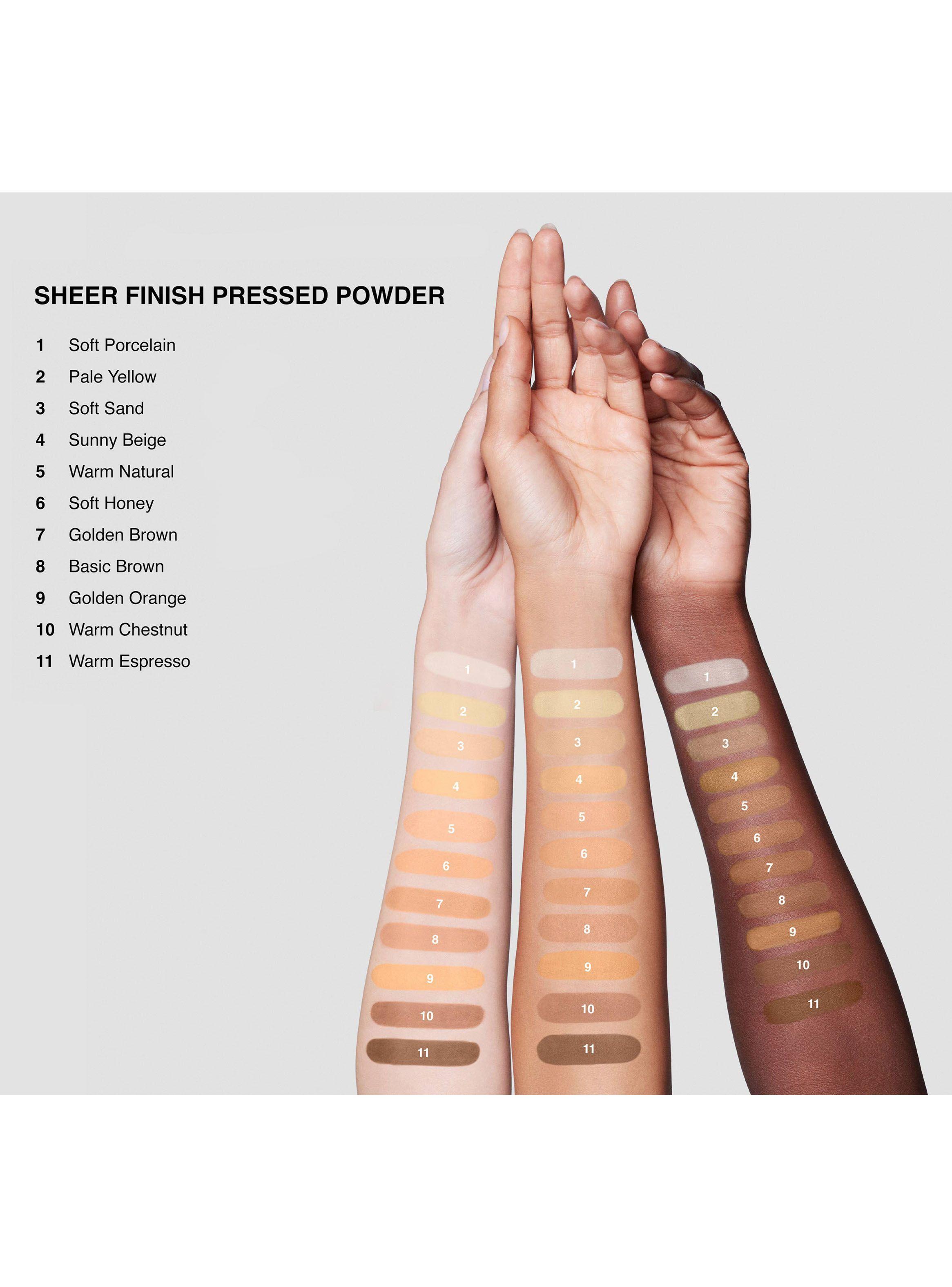 Sheer Finish Pressed Powder Basic Brown-4
