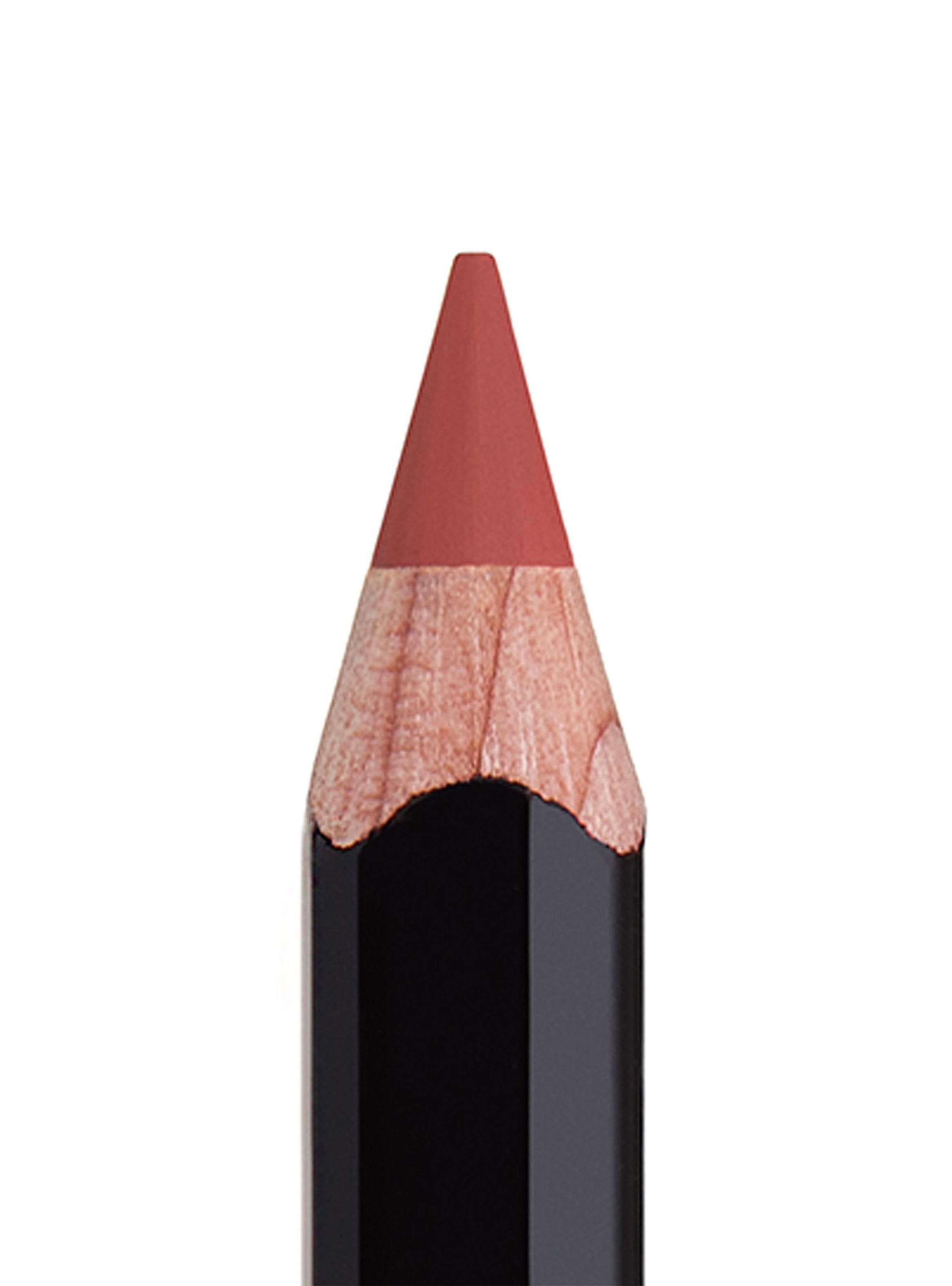 Delineador Labios Lip Liner Dusty Rose-1