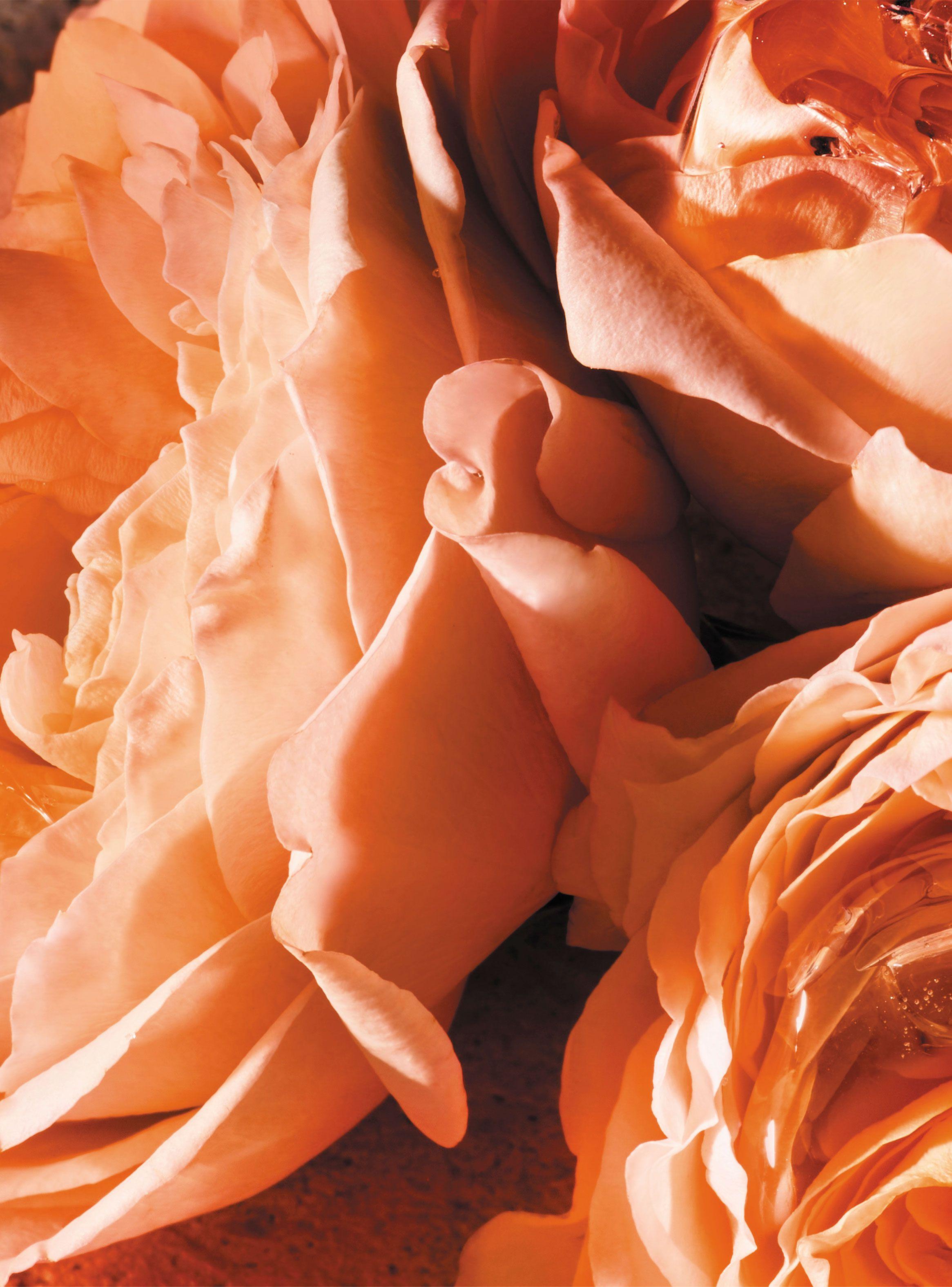 Perfume Lancôme Trésor EDP Mujer 100 ml Edición Limitada-3