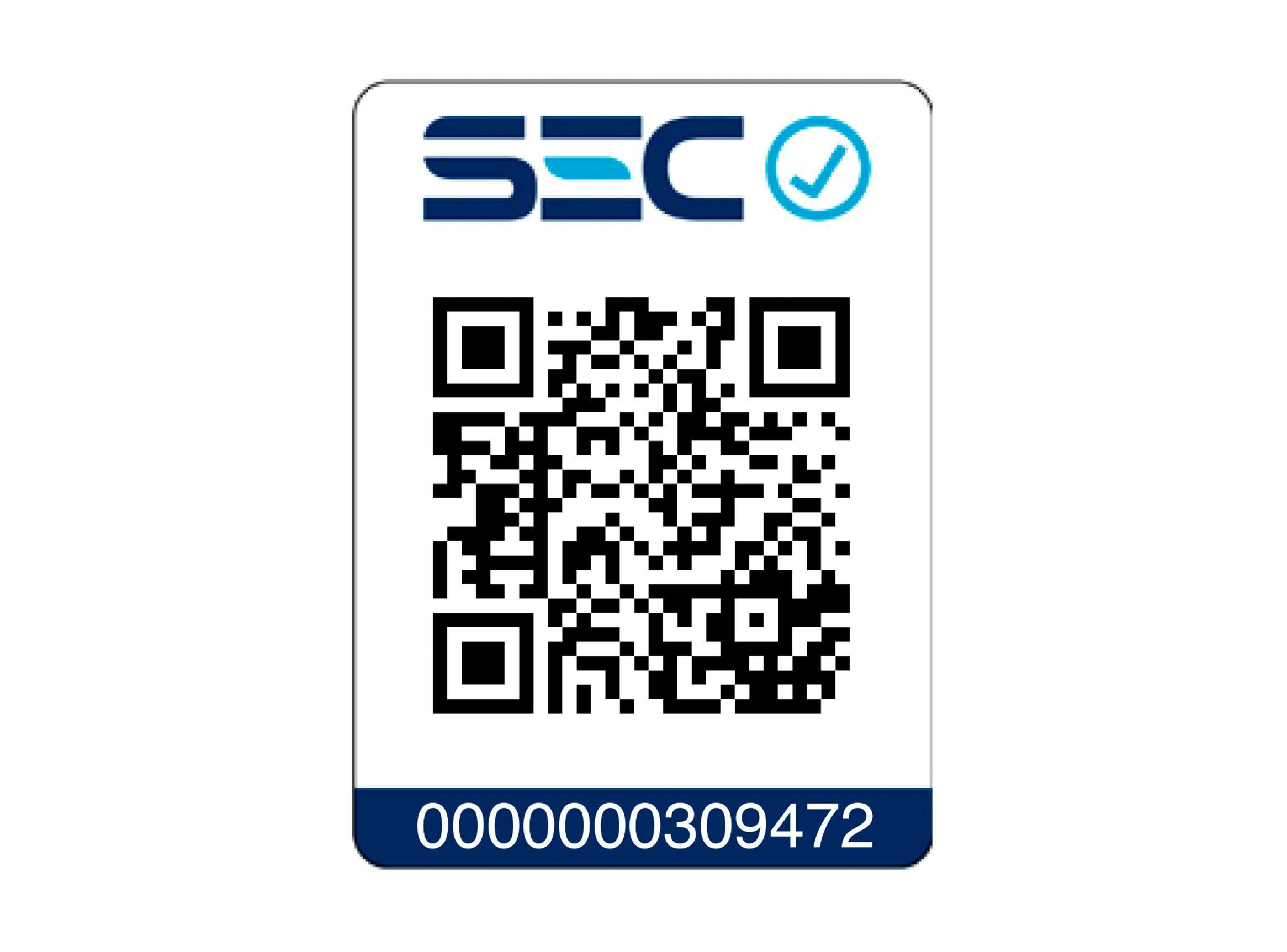 Secador de Pelo Signature SG-3025S Silver-6