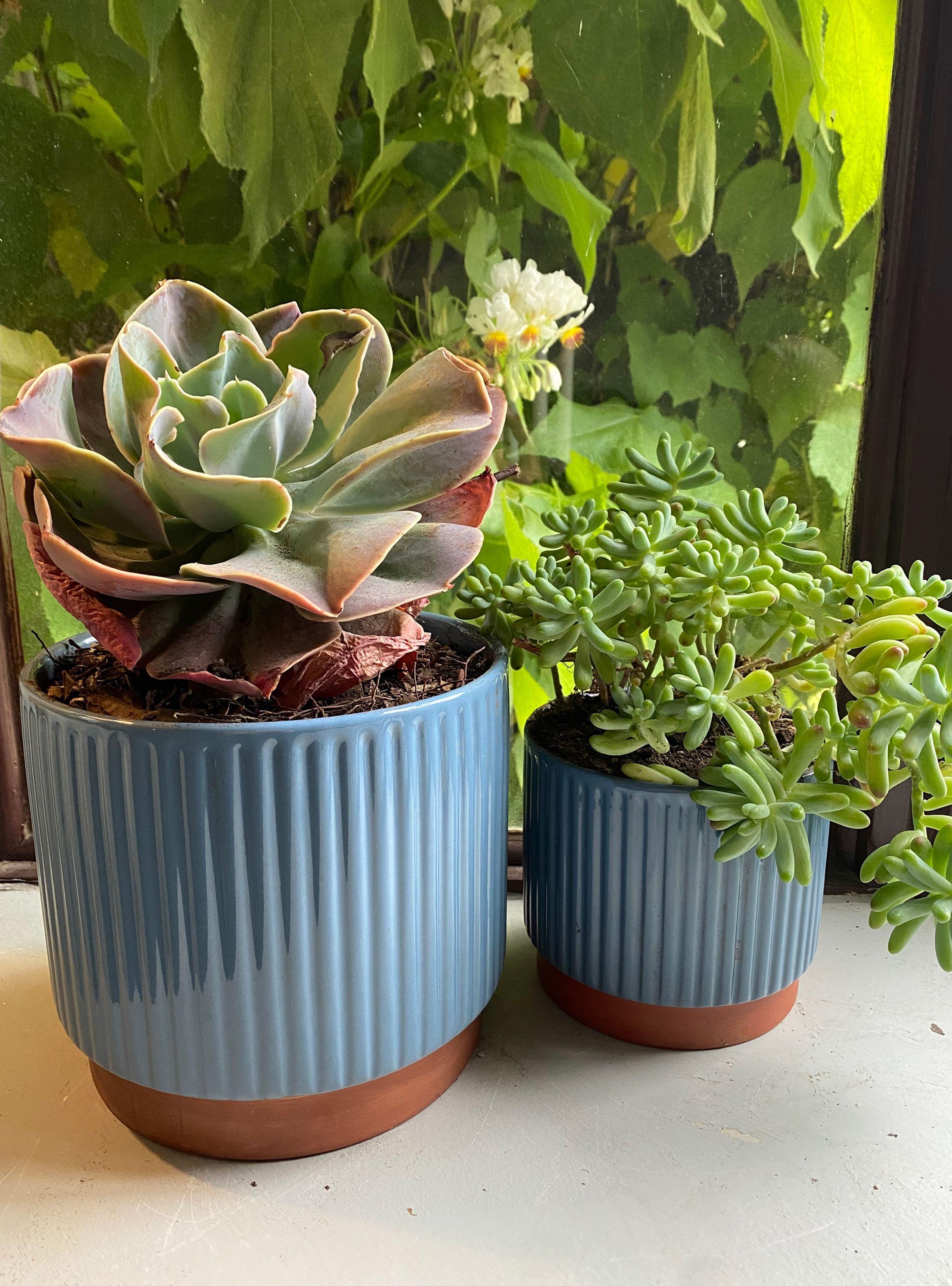 Macetero Enlozado Azul 14 x 12 cm-4