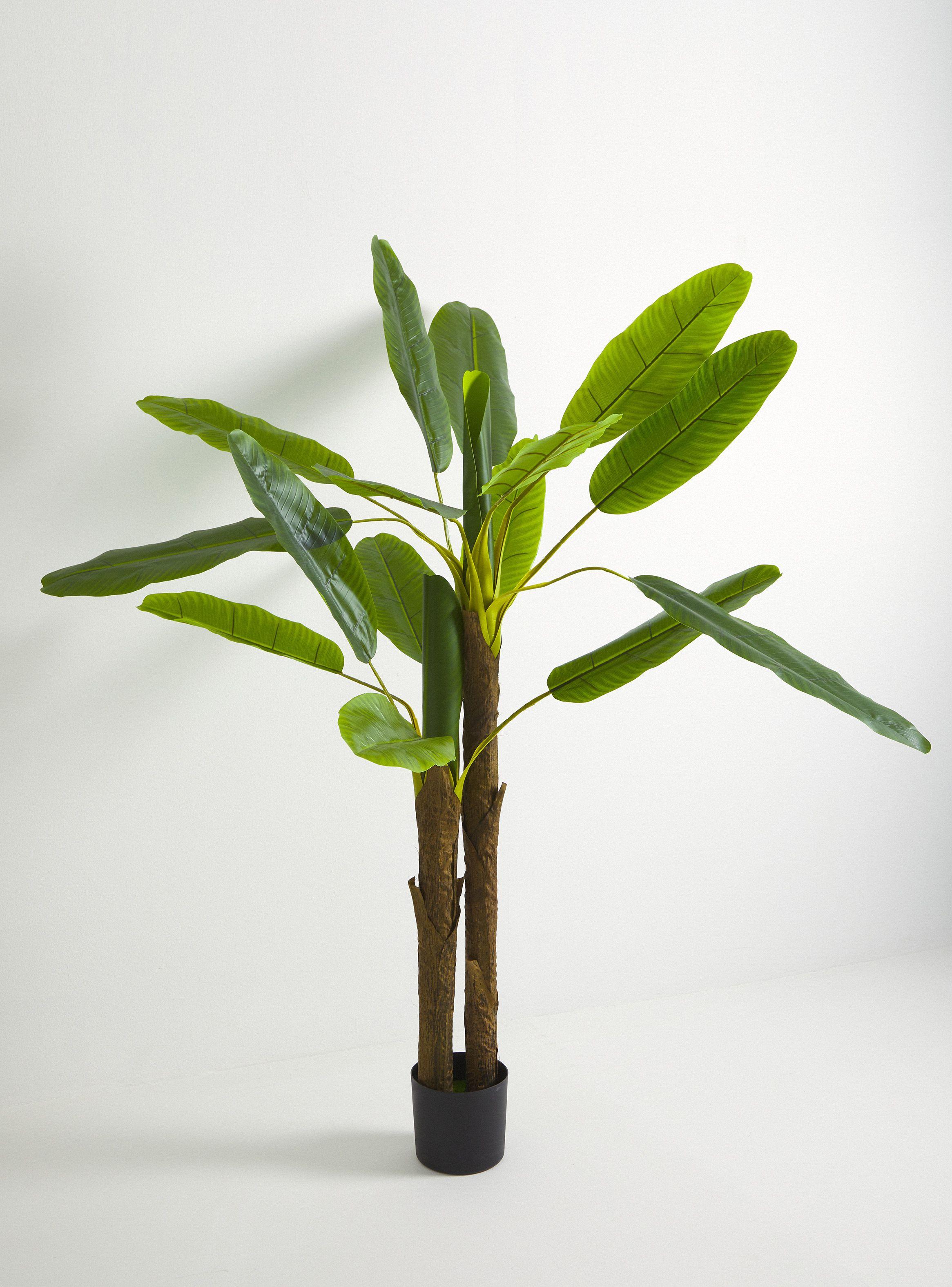 Planta Artificial Banana 190 cm-1