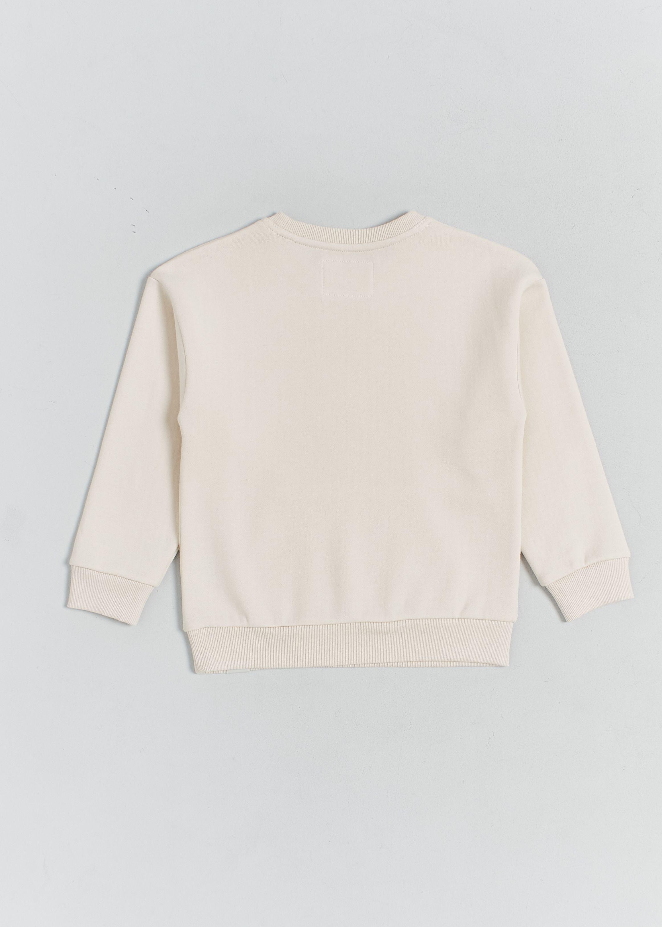 Polerón Bolsillo Canguro-3