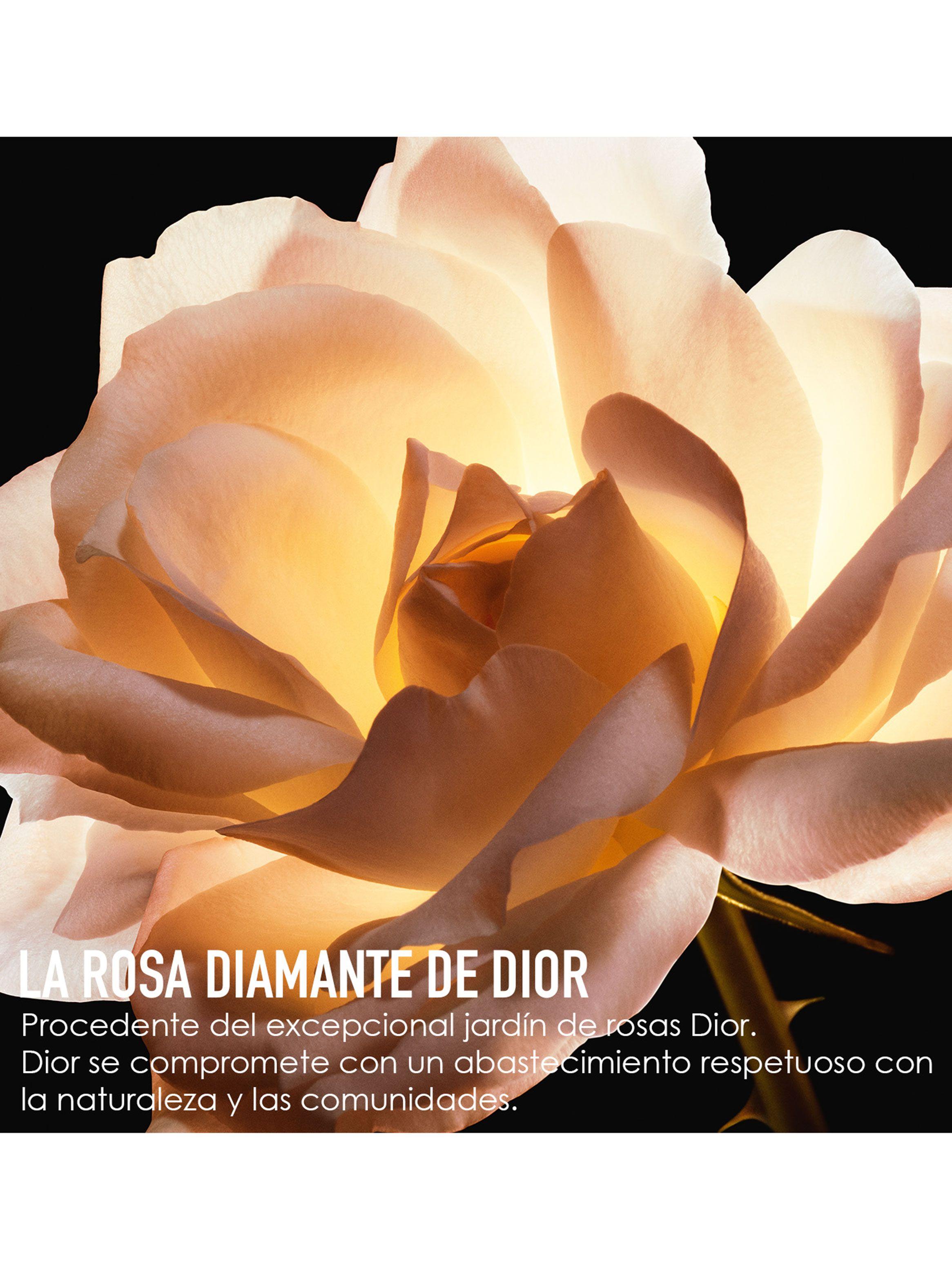 Sérum Prestige Dior La Micro-lotion de Rose 150 ml-5