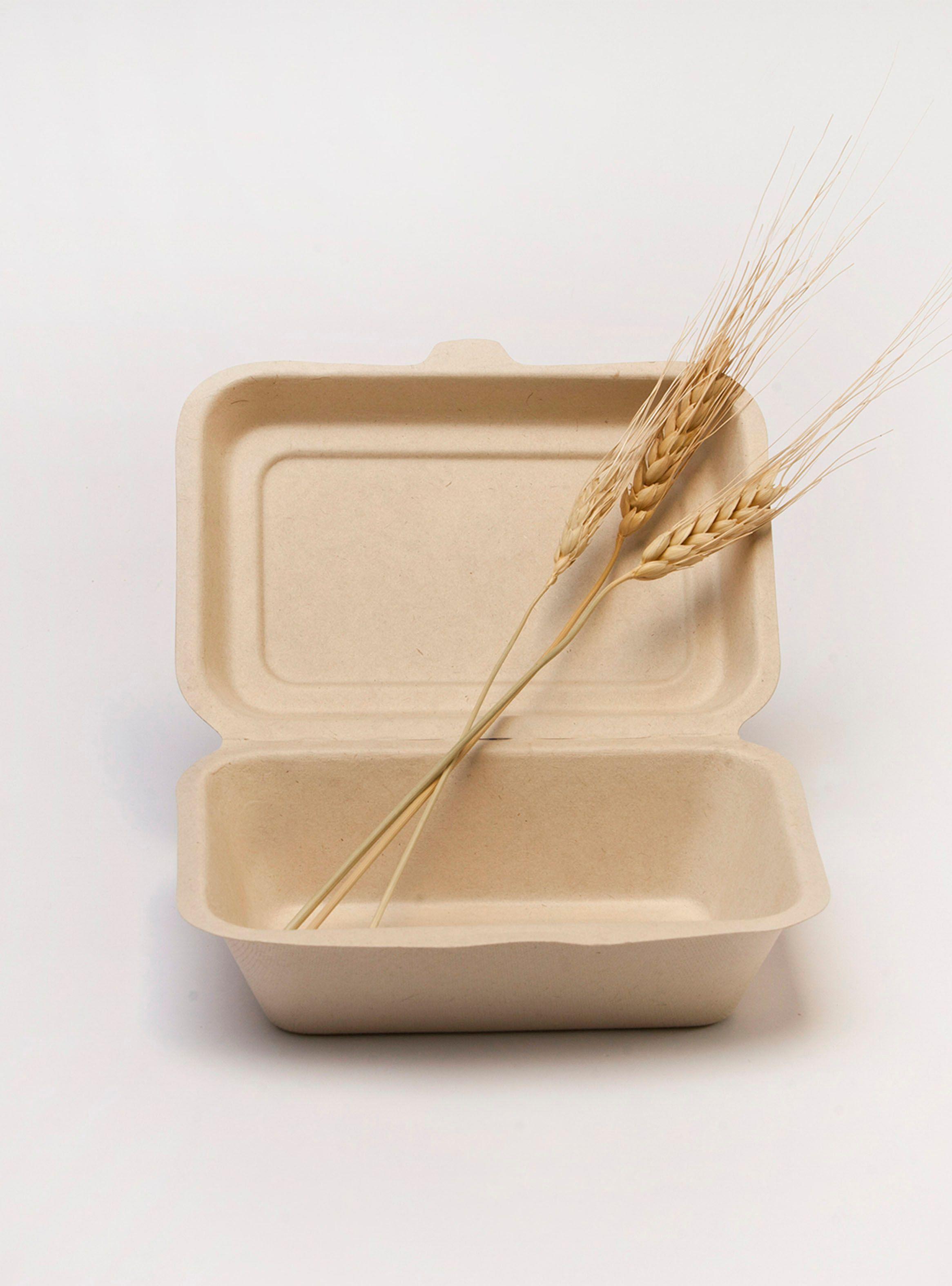 500 Almejas Rectangulares Biodegradable 600 ml Paja de Trigo-3