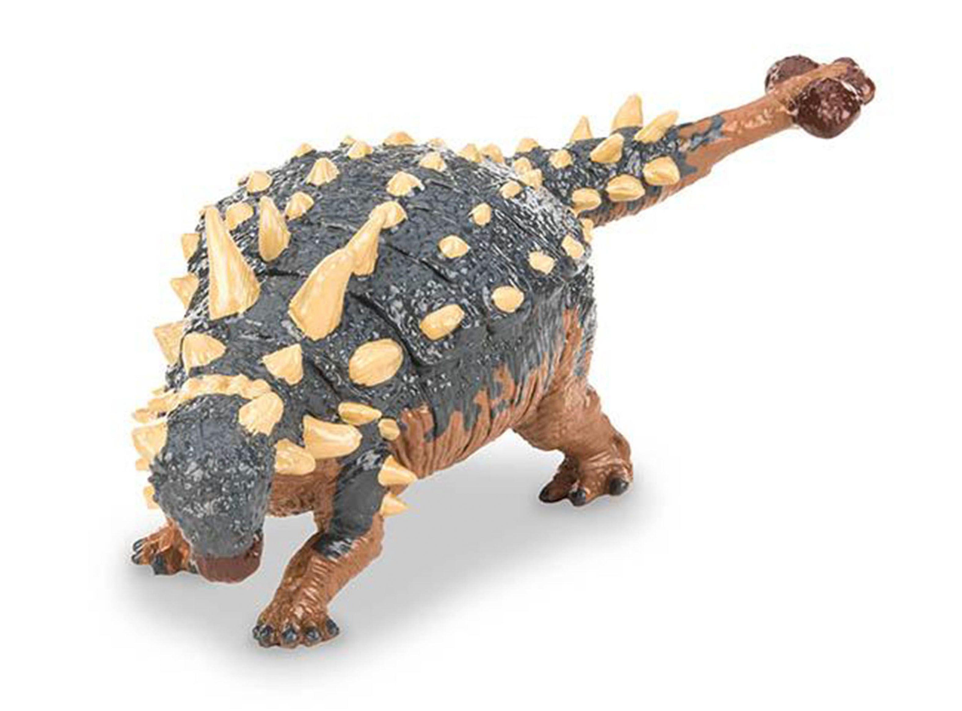 Terra Euoplocephalus Tutus Mediano Caramba-0