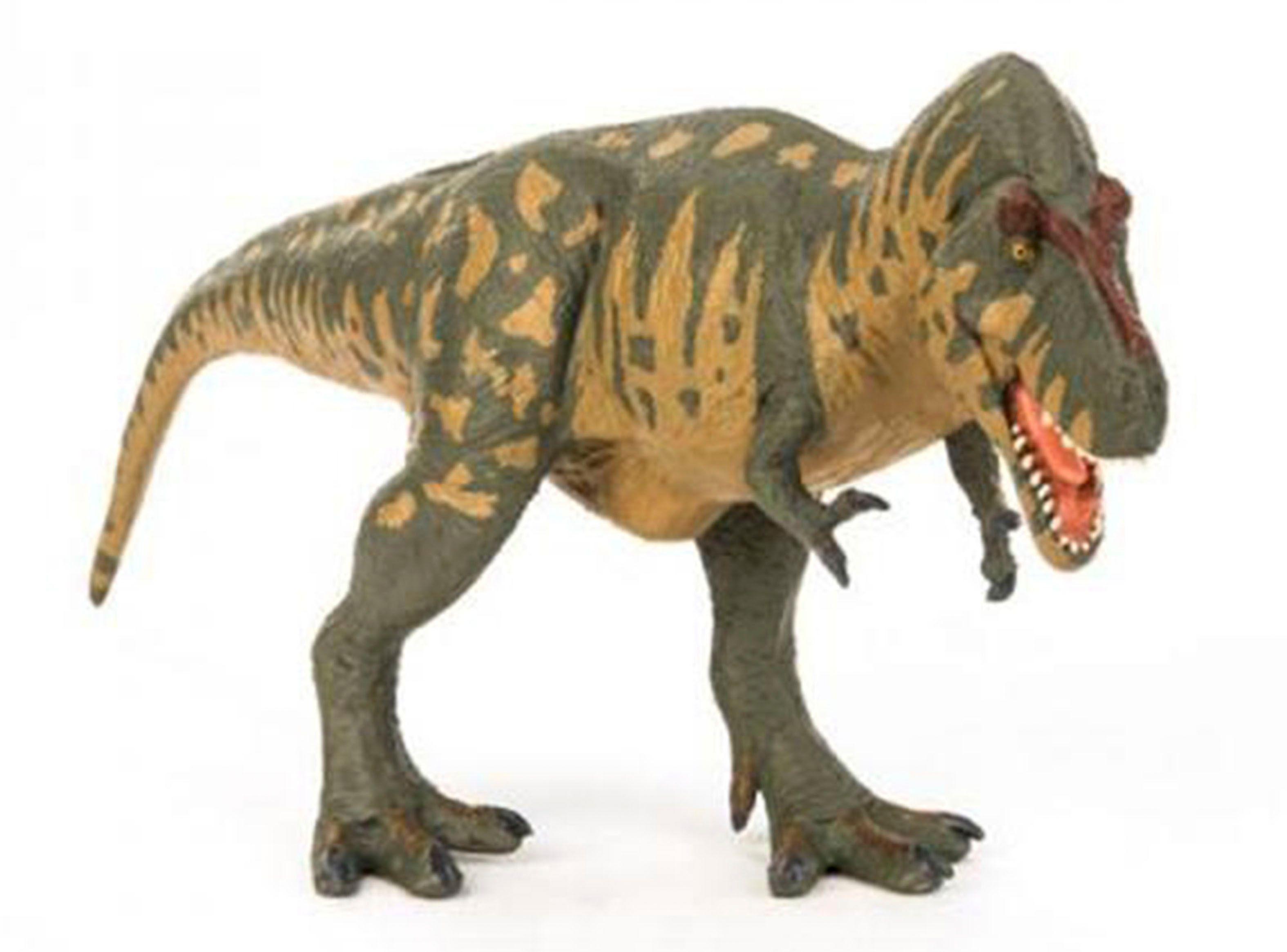 Terra Tyrannosaurus Rex Grande Caramba-0