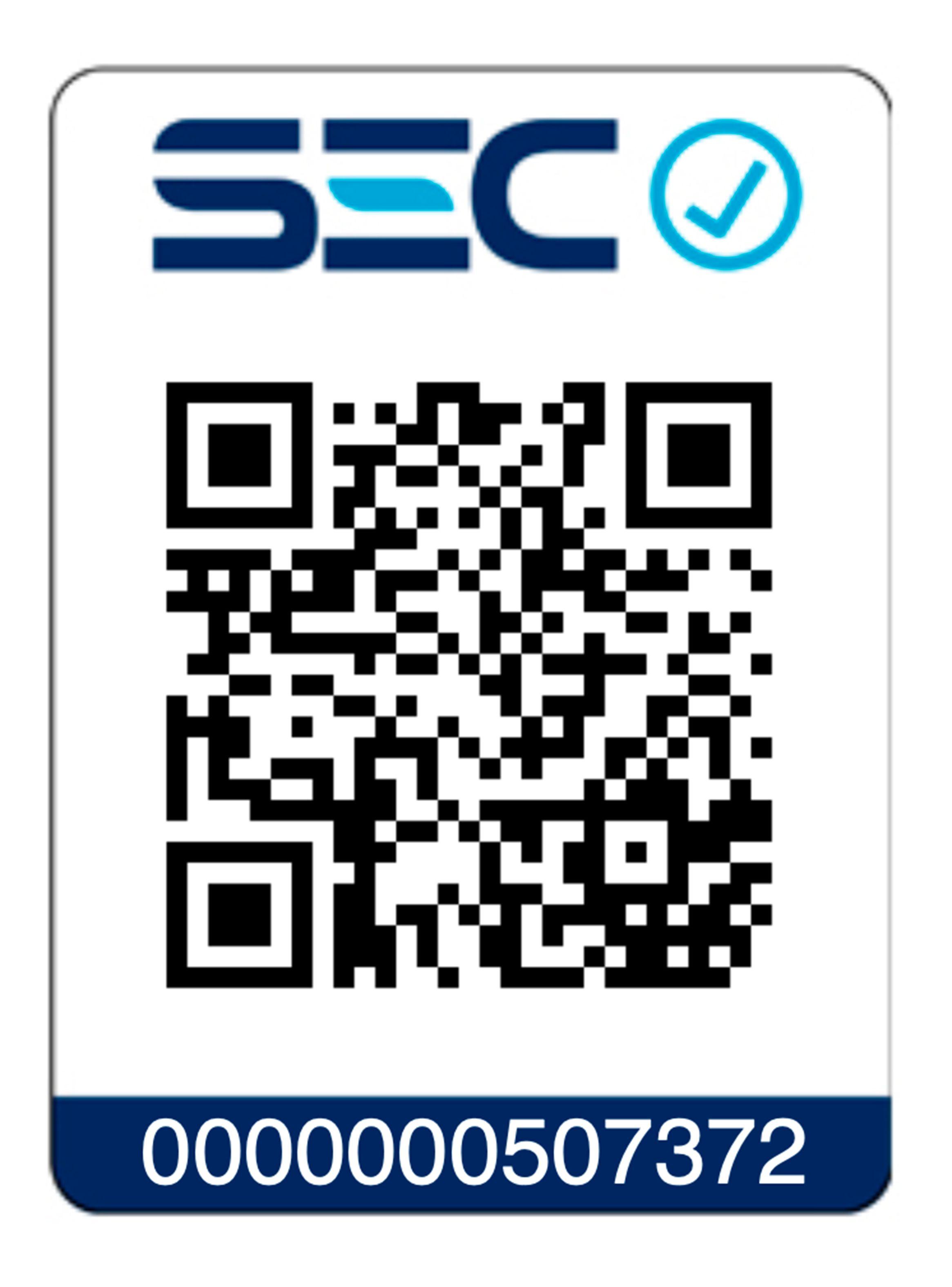 Set 20 Luces Plateadas-4