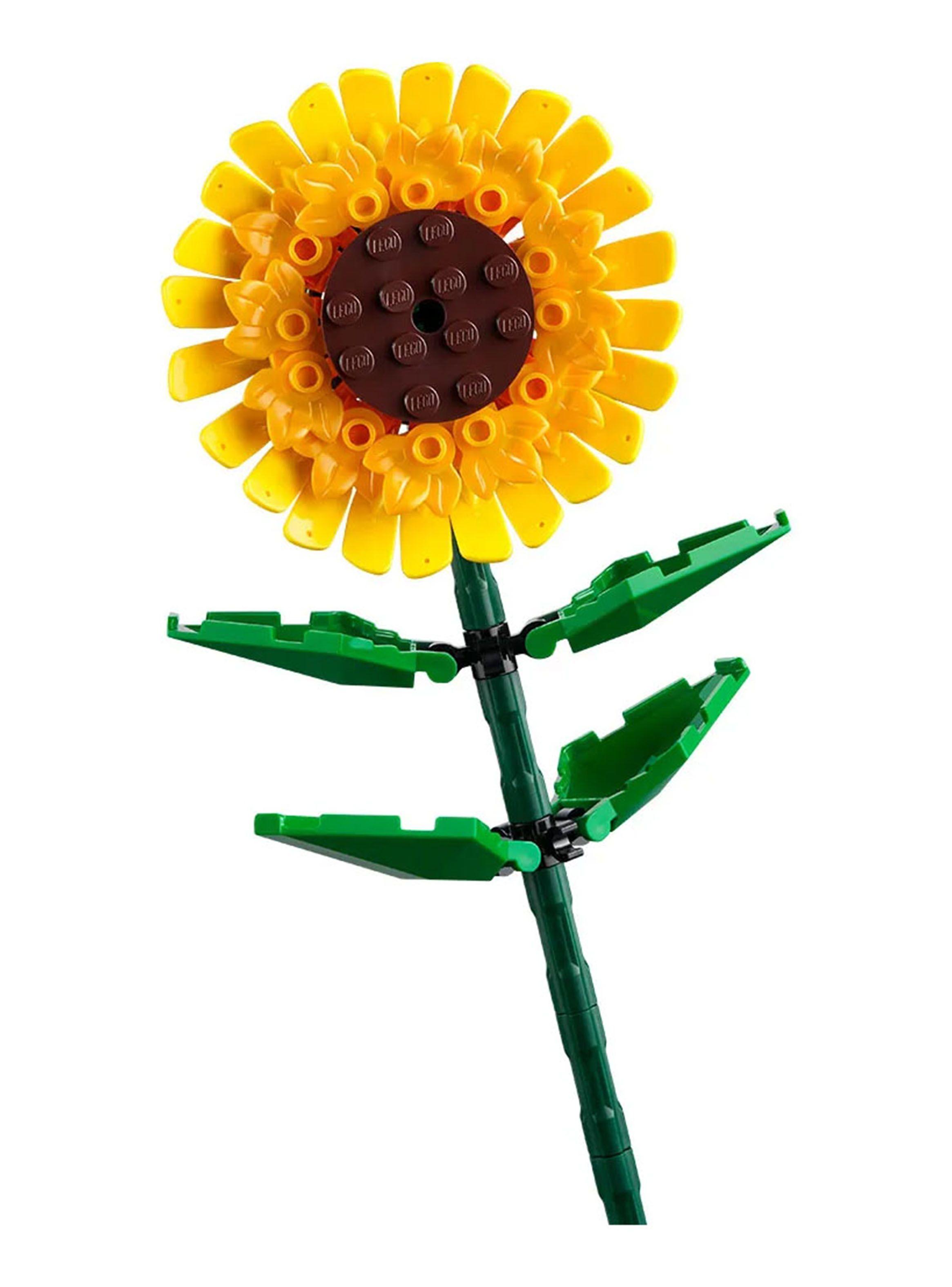 Bloques Girasoles-2