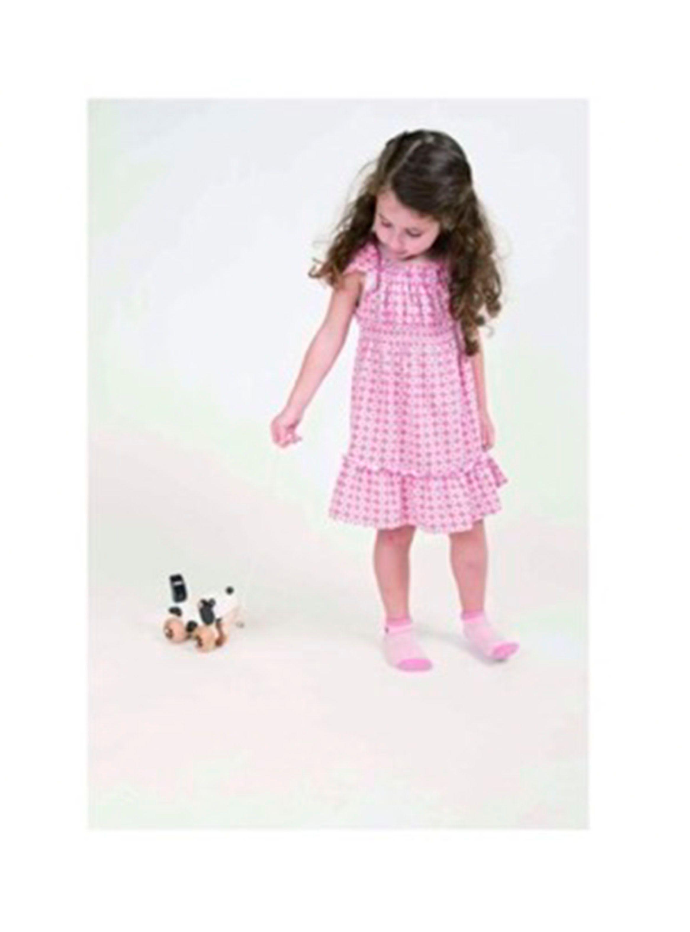 Perro de Arrastre Classic World-3