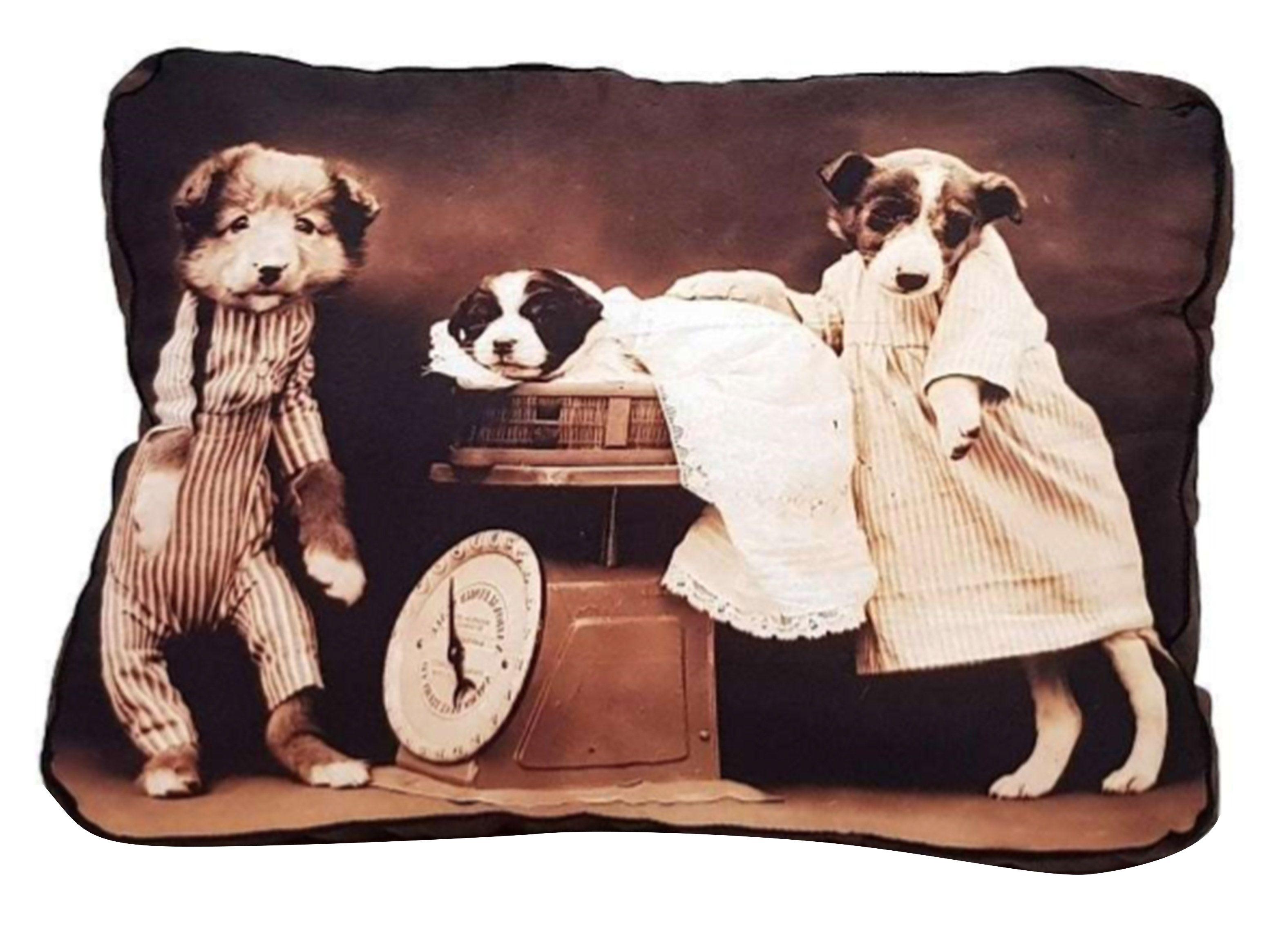 Cama Elegance Pet Mascota Impermeable Premium XL 75 x 60 cm-0