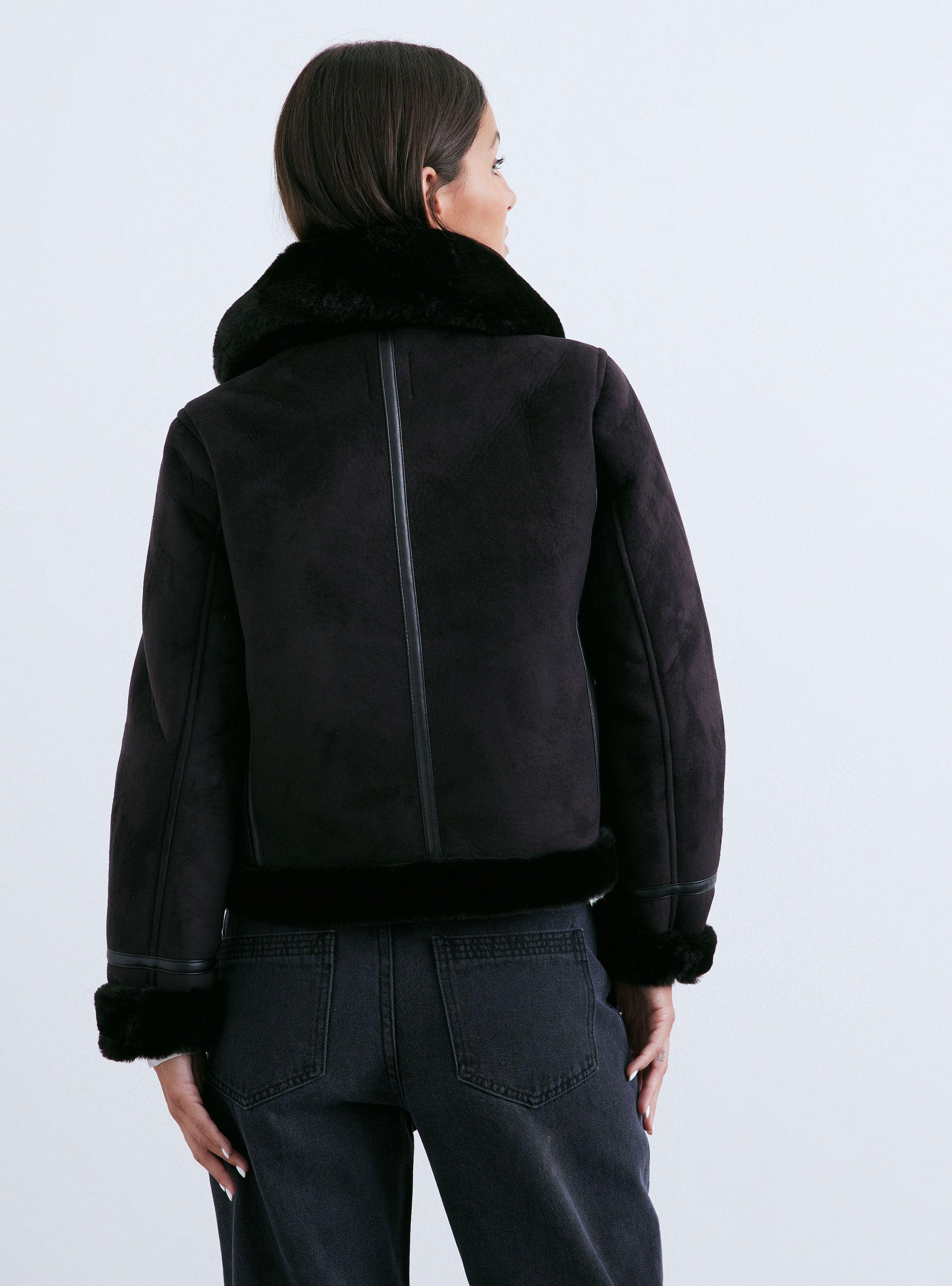 Chaqueta Aviadora Corta Suede-1
