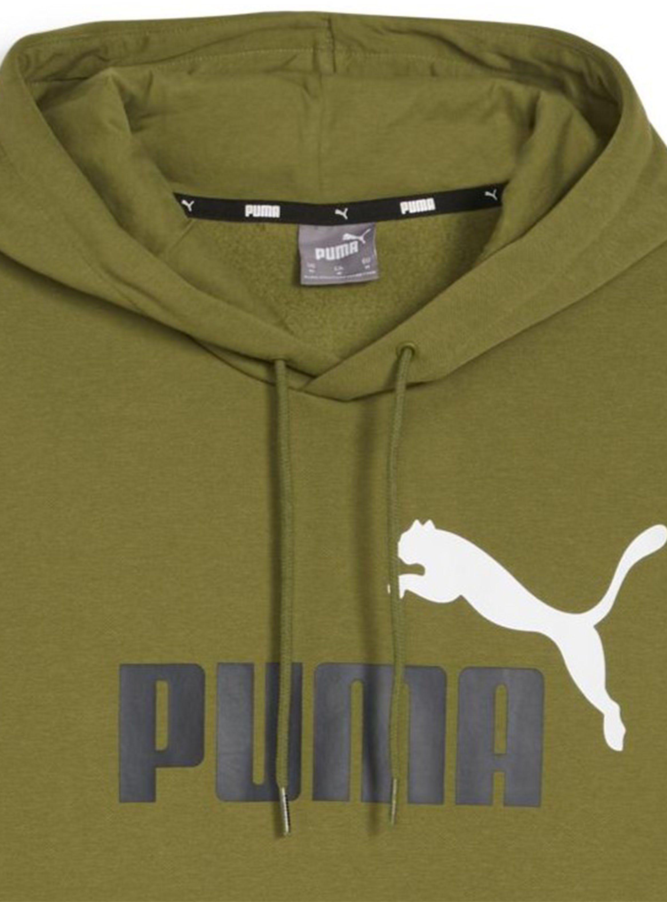 Polerón Fl ESS+ 2 Col Big Logo Hoodie-2