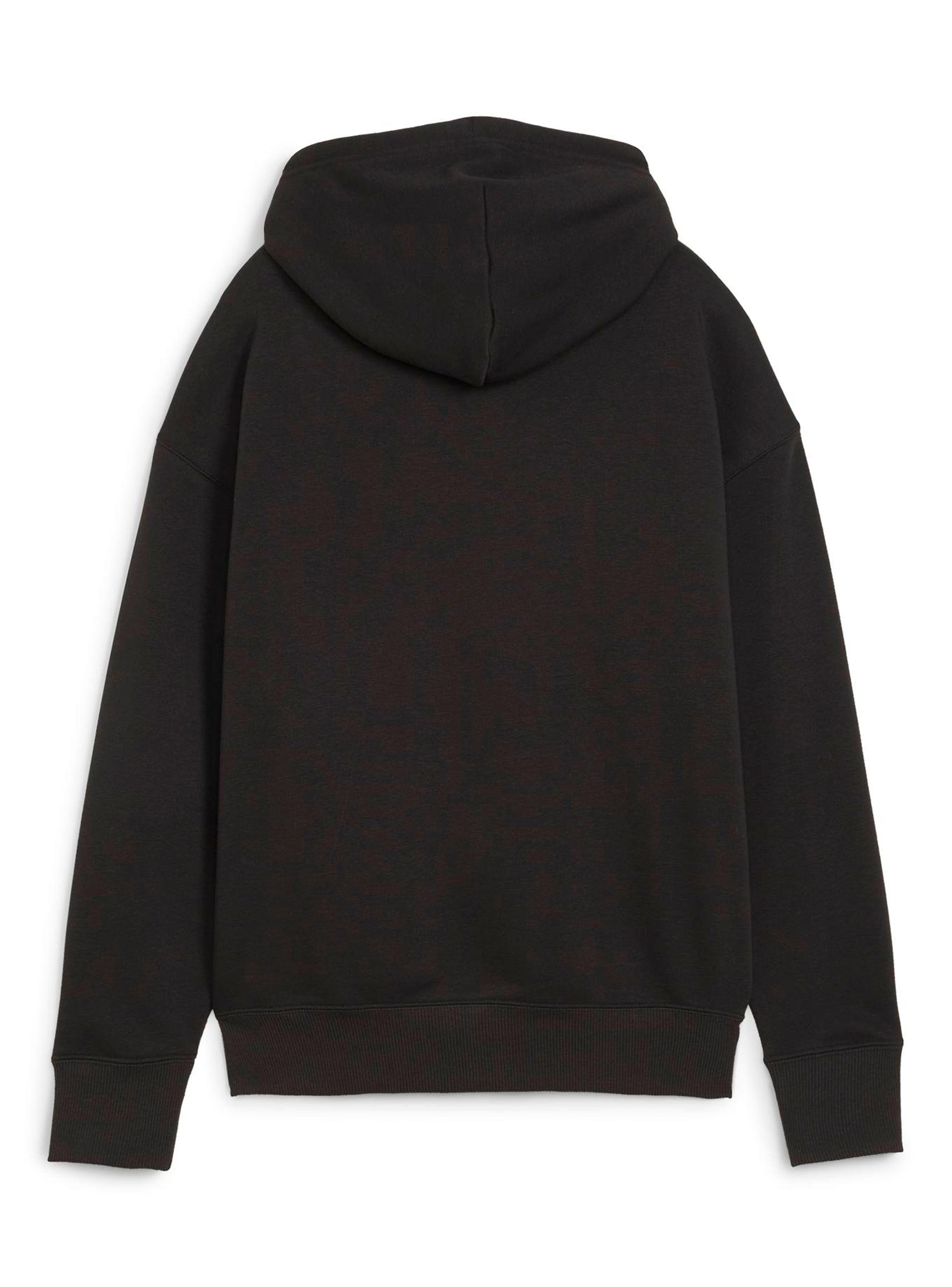 Polerón Classics-Shiny Logo Hoodie-1