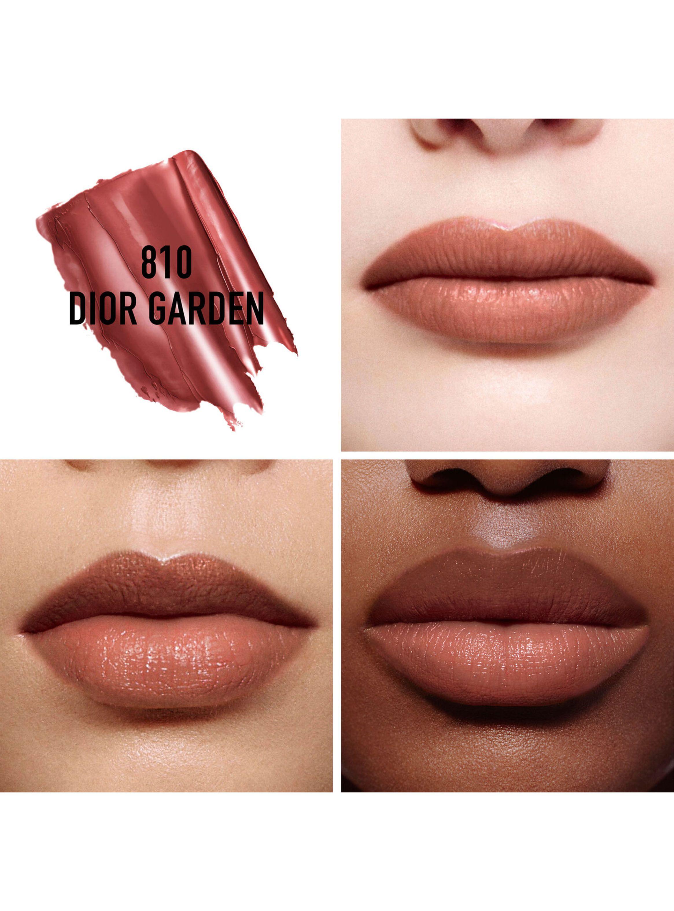 Bálsamo Color Rouge Dior 810 Dior Garden 3.5 gr-2