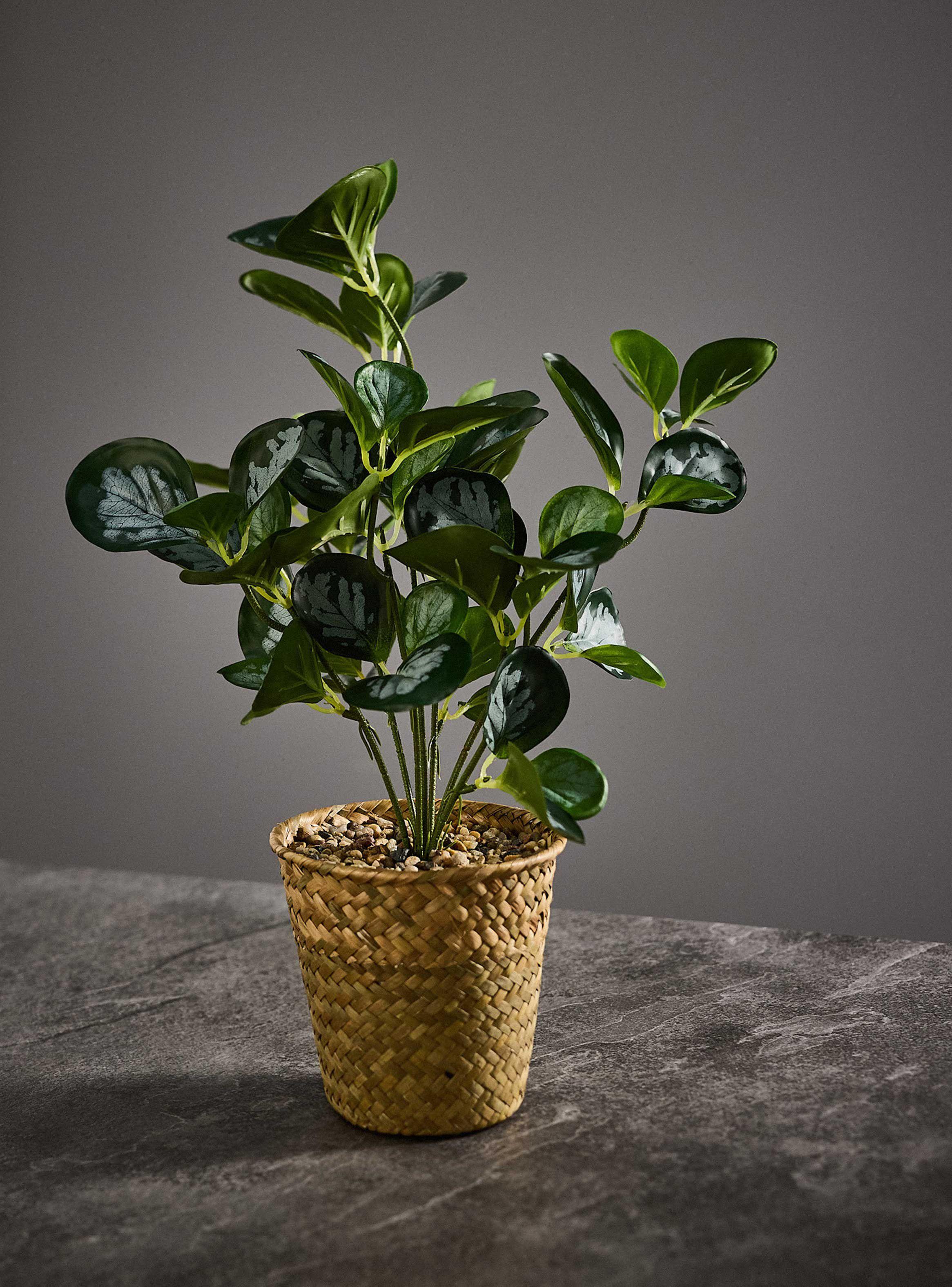 Planta Artificial 36 cm-1