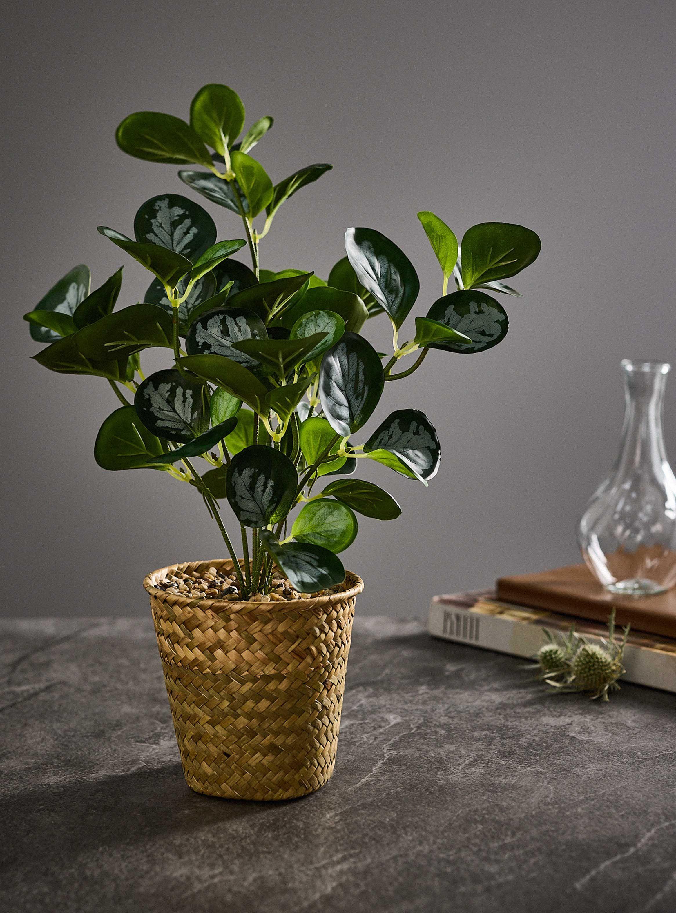 Planta Artificial 36 cm-4