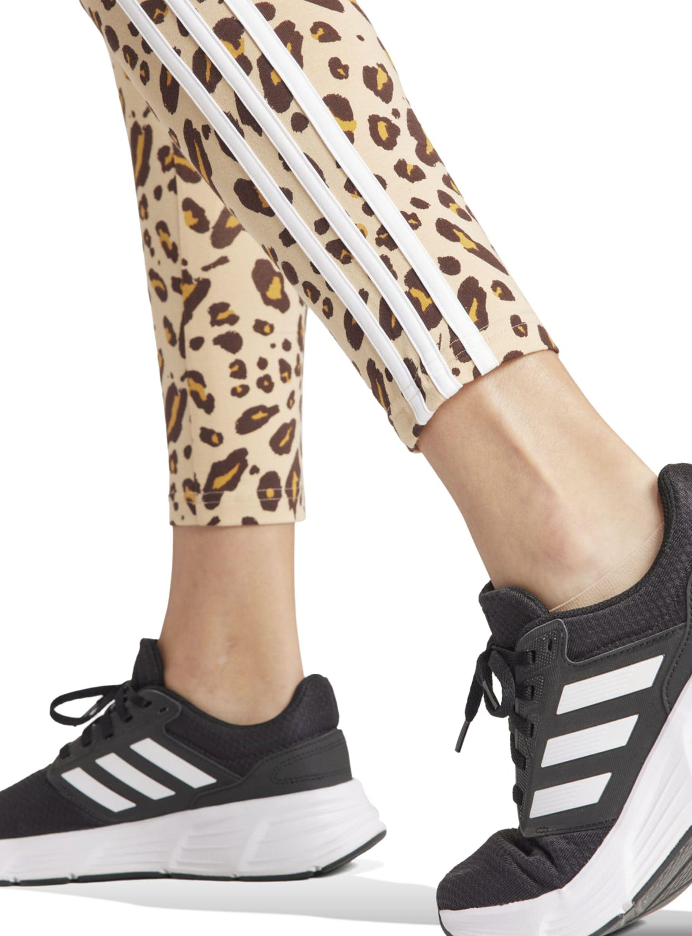 Calza Design Animal Print Essentials-3