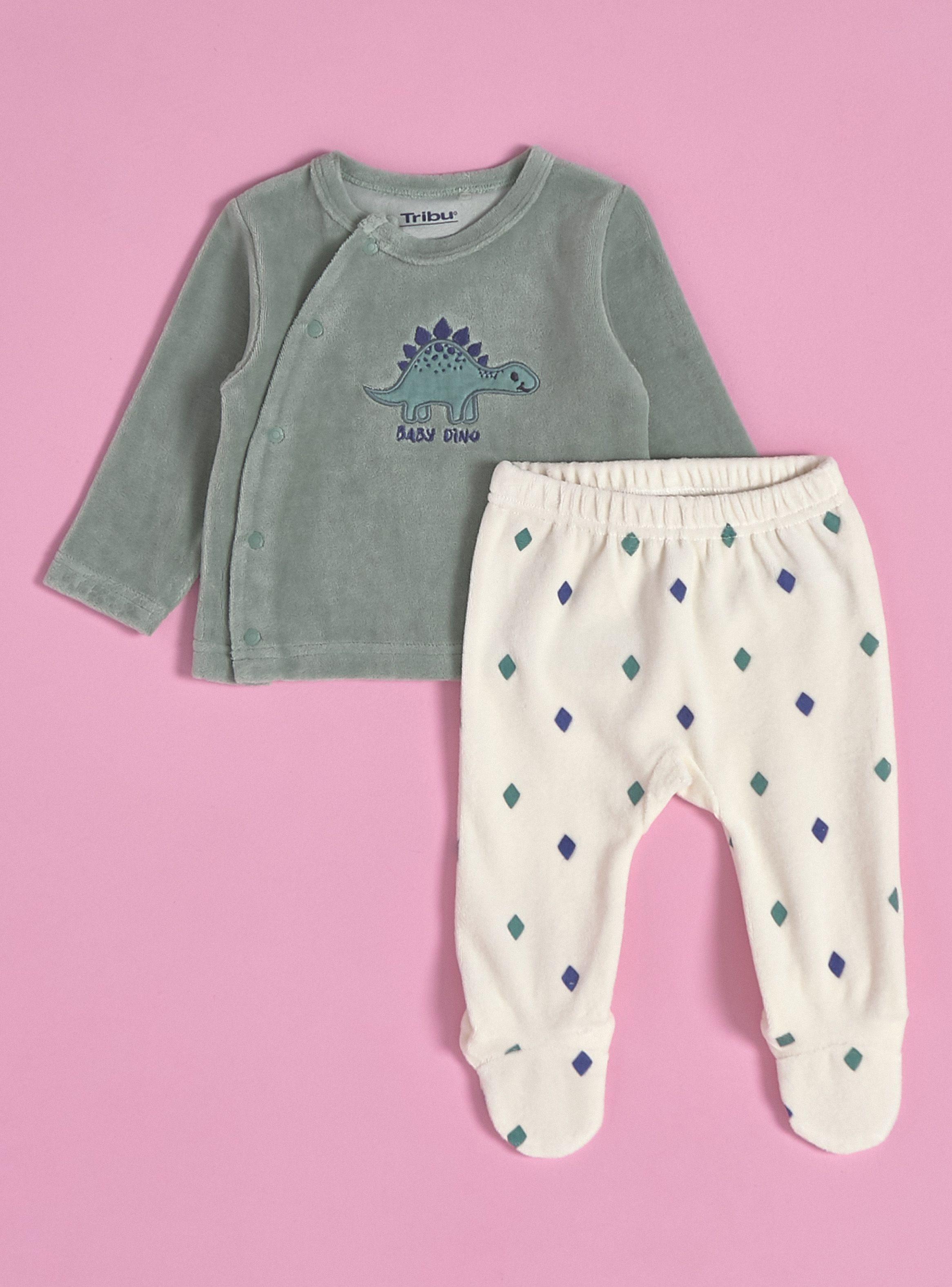 Conjunto Niño Aplicación Dinosaurio-0