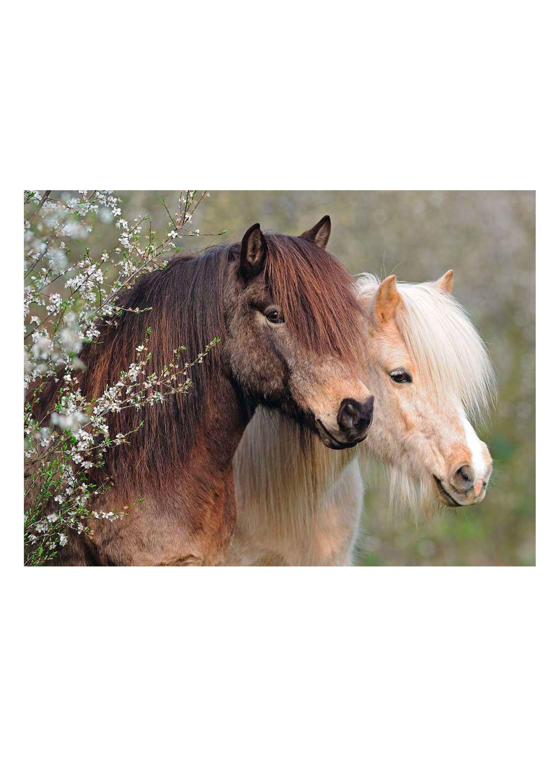 Ravensburger Puzzle XXL Ponys 150 Piezas Caramba-1