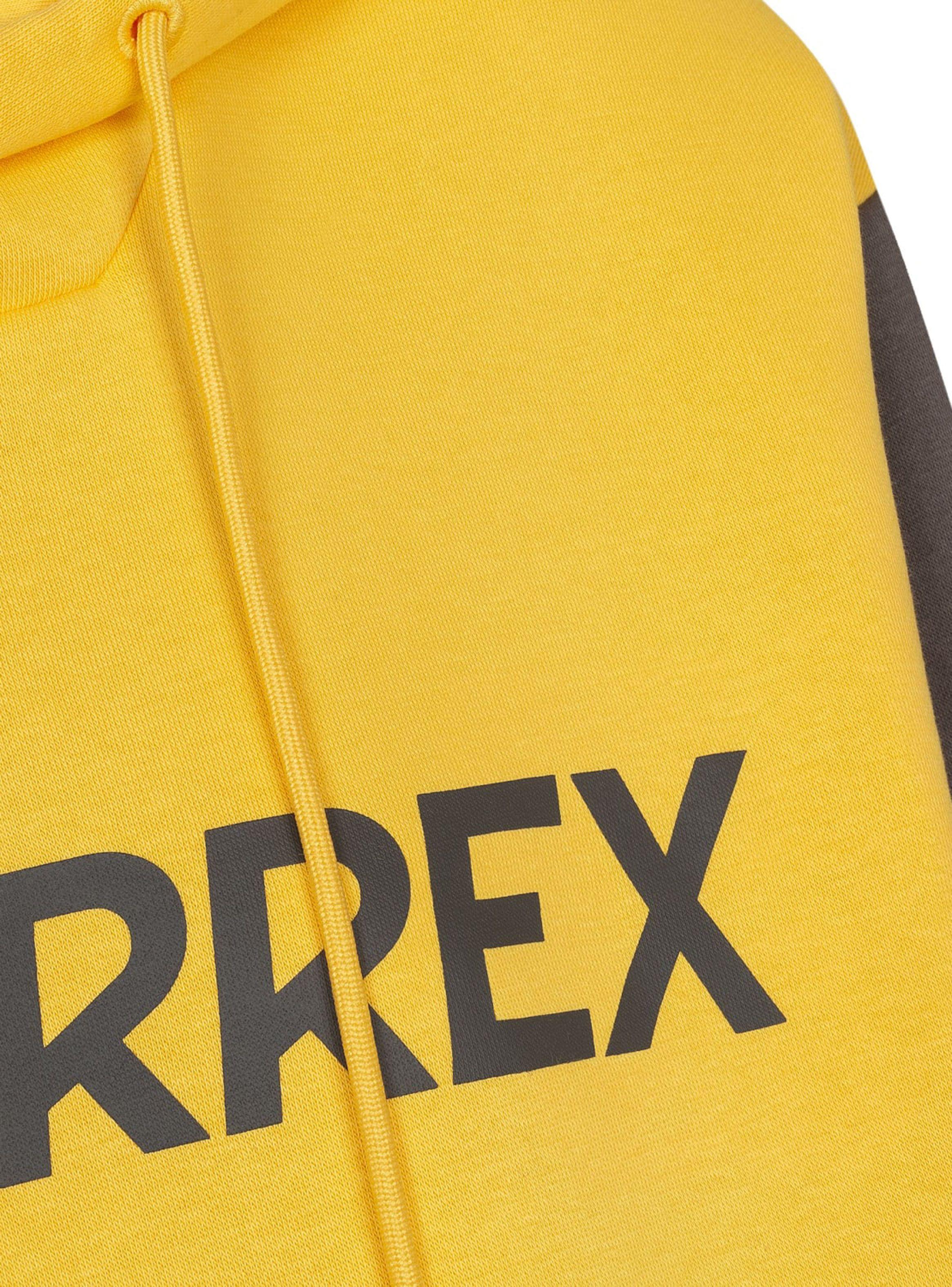 Polerón Fleece Big logo Terrex-3