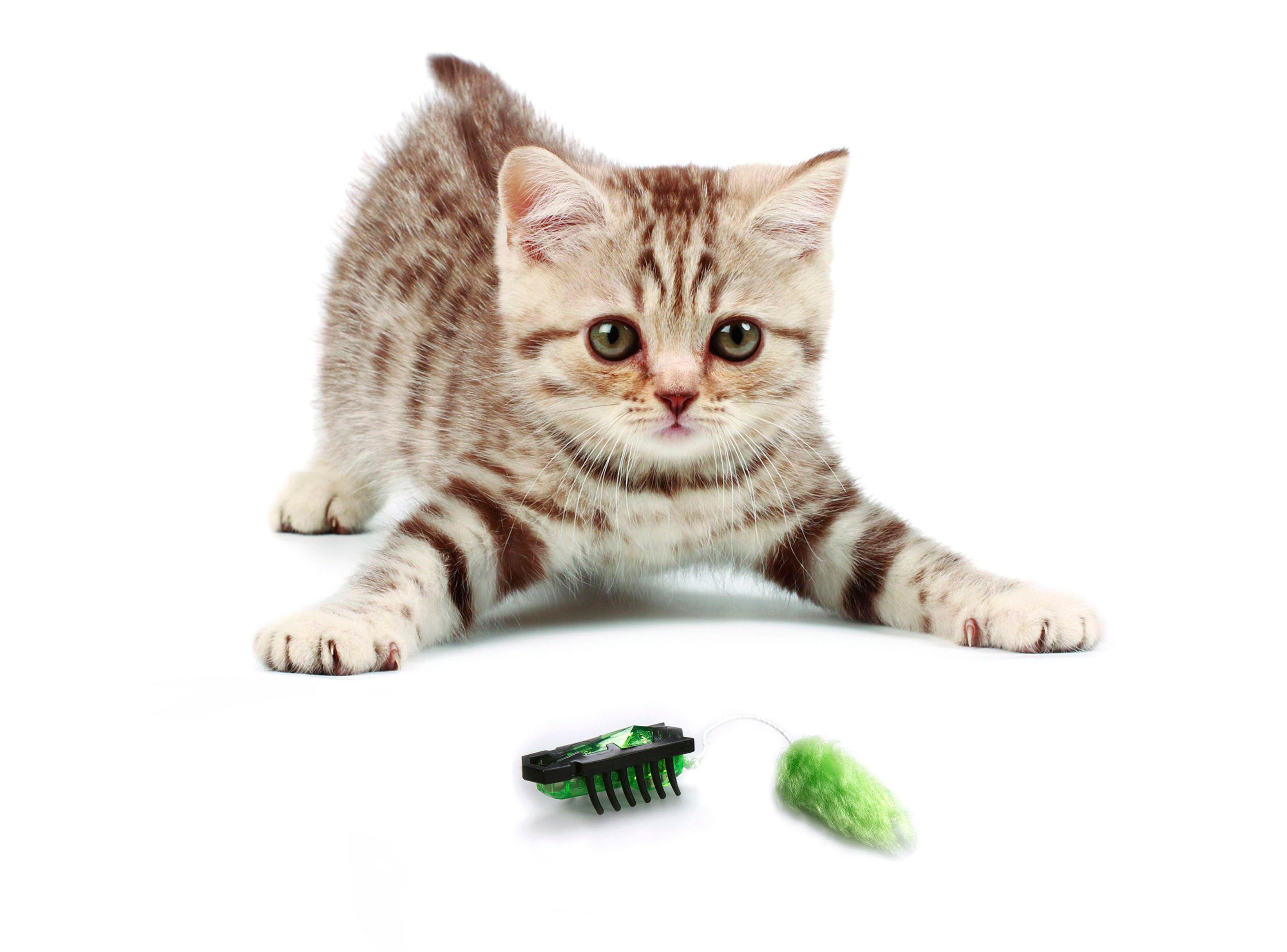 Robot Hexbug Nano para Gatos Negro y Verde-0