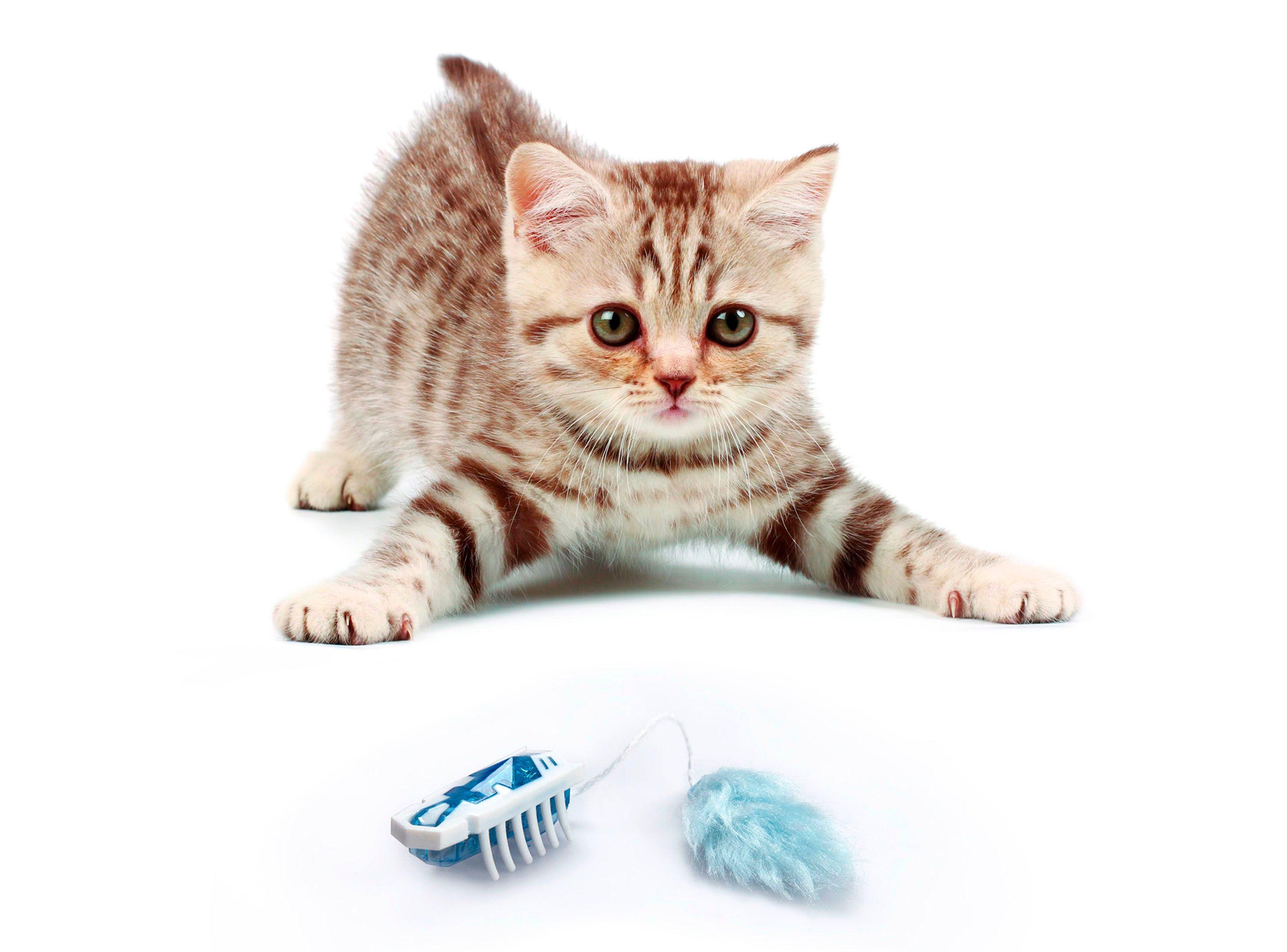 Robot Hexbug Nano para Gatos Blanco y Azul-3