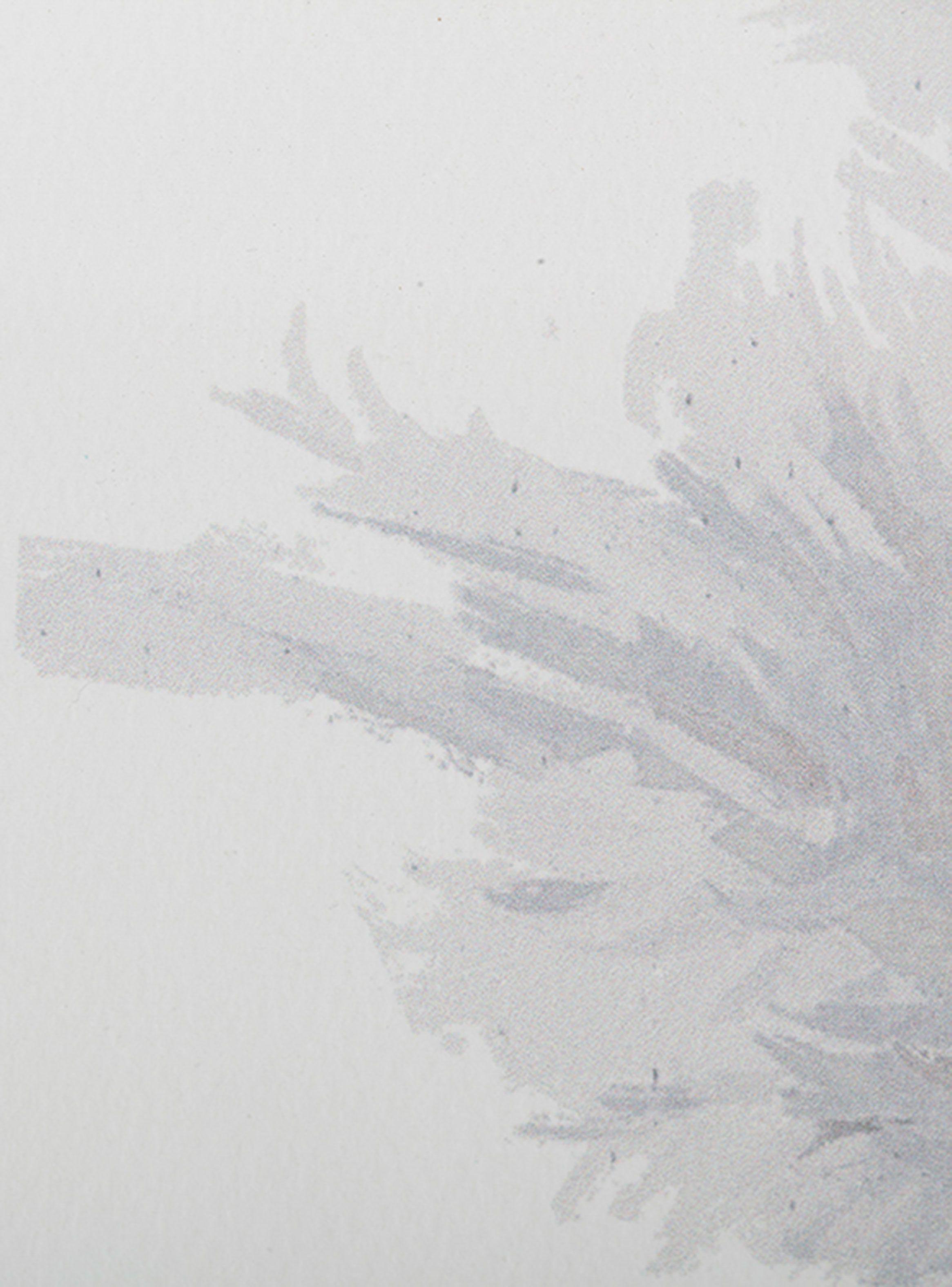 Cuadro Pluma 1 45x90 cm-3