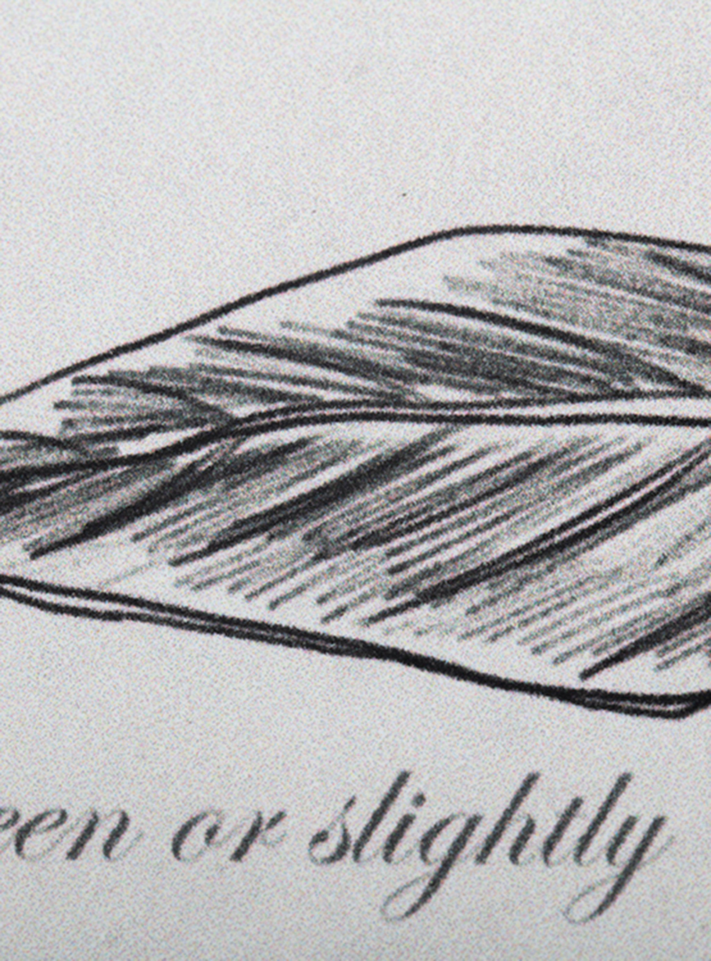 Cuadro Esp Botánico 2 30x50 cm-3