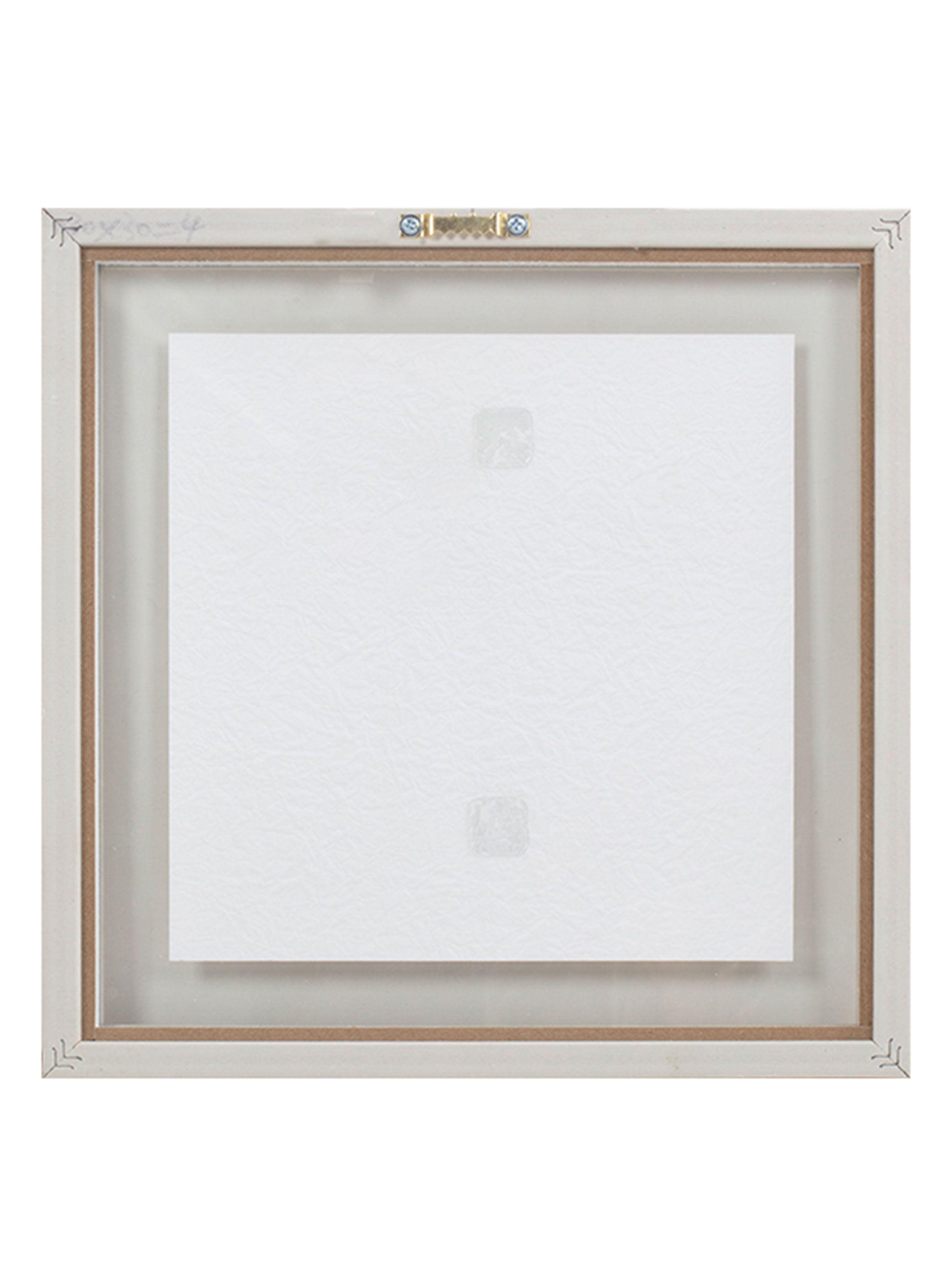 Cuadro Libélula  40x40 cm-1