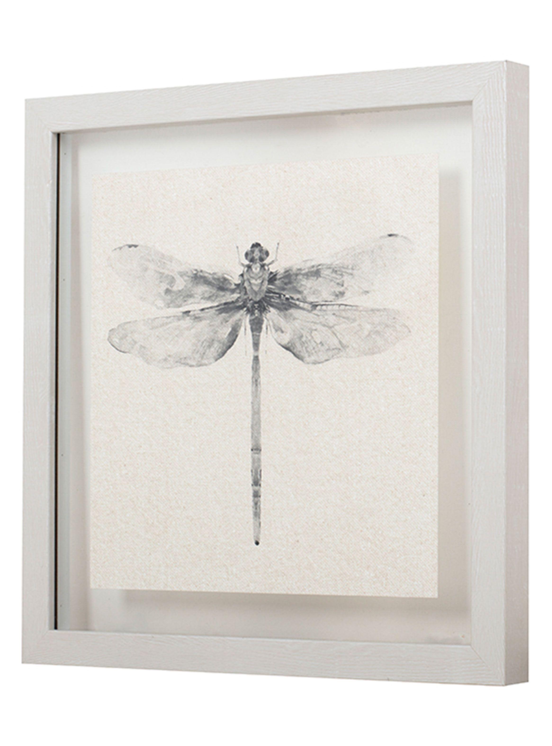 Cuadro Libélula  40x40 cm-2