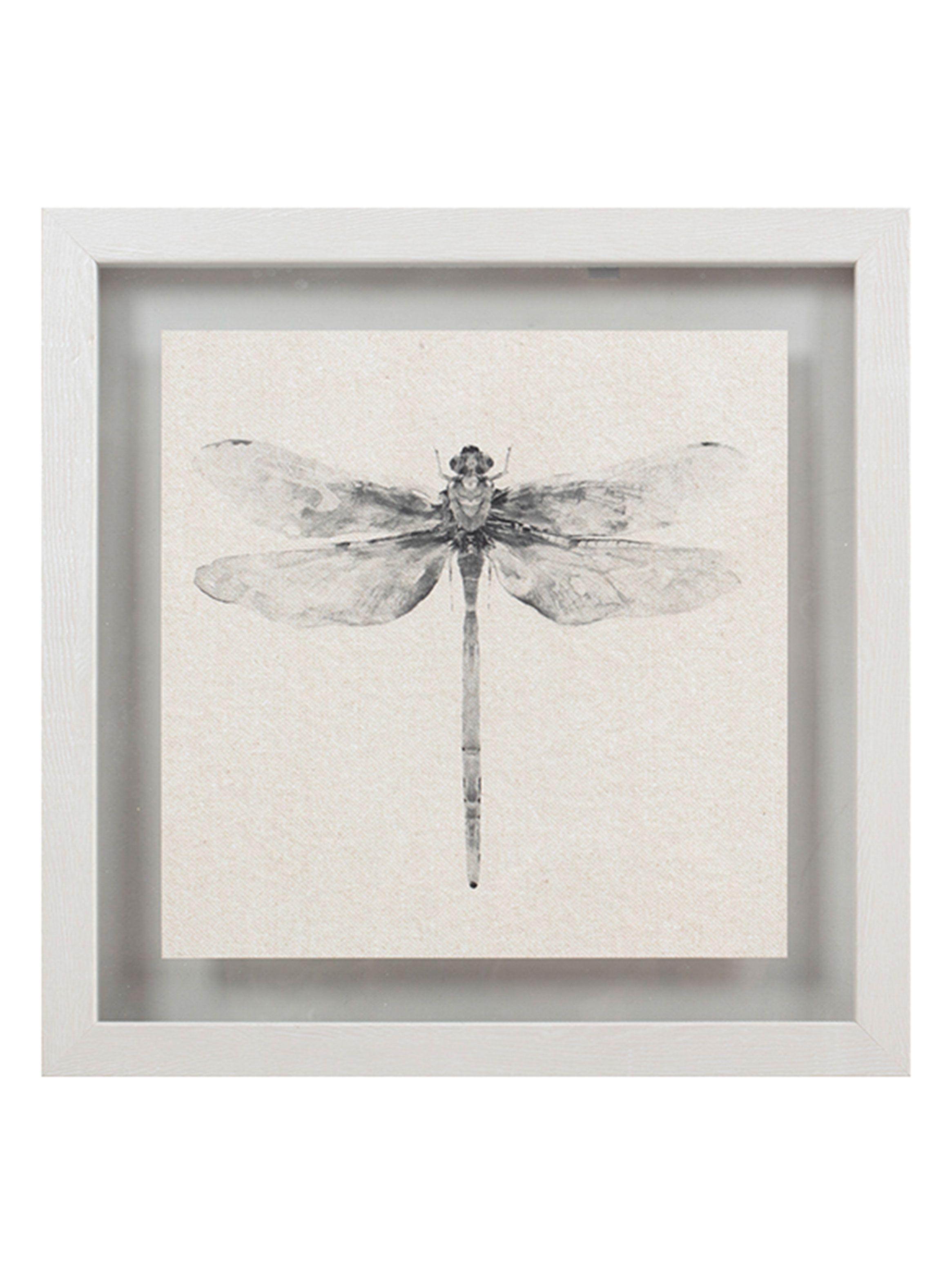 Cuadro Libélula  40x40 cm-0