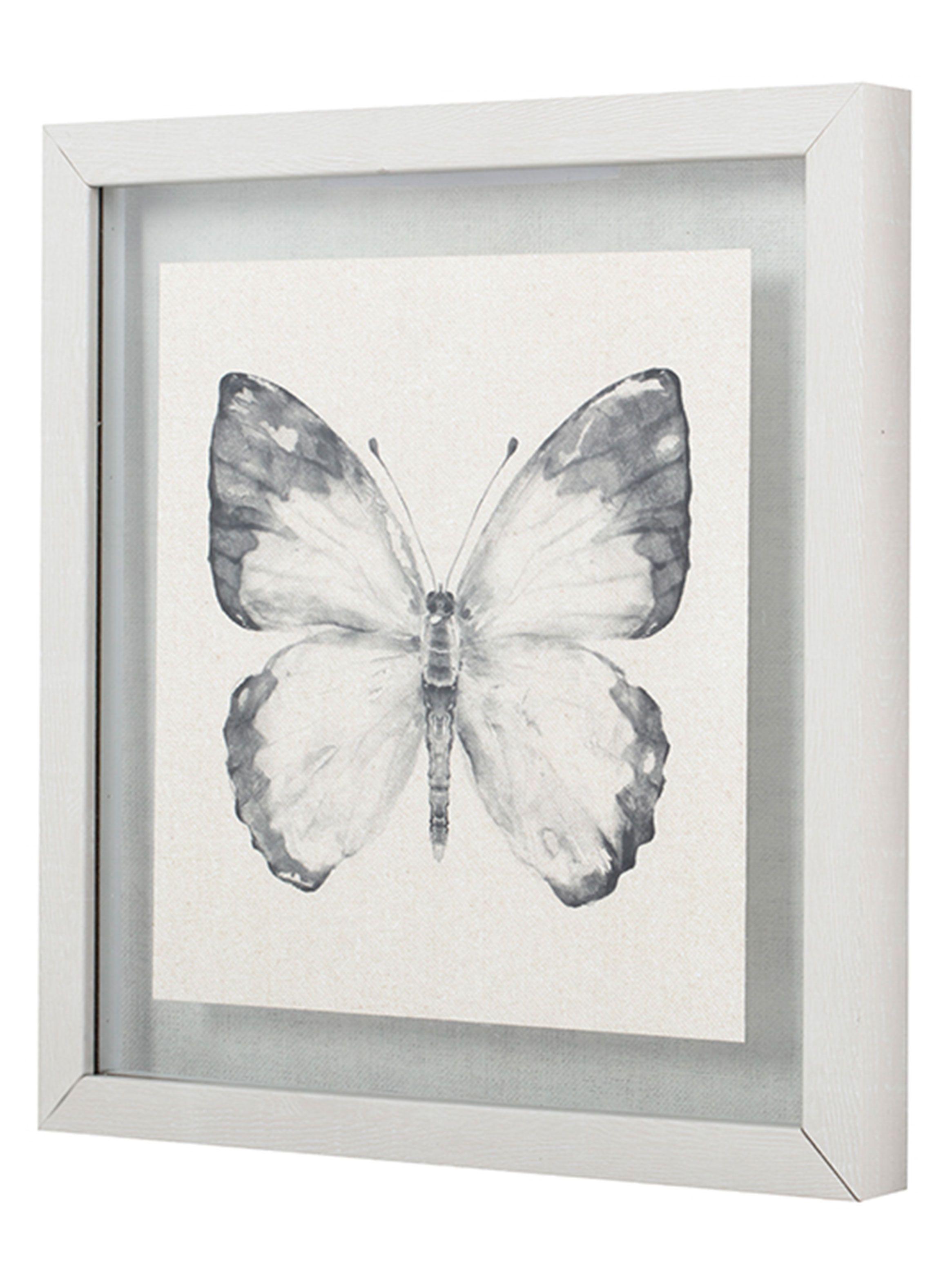 Cuadro Mariposa 40x40 cm-2