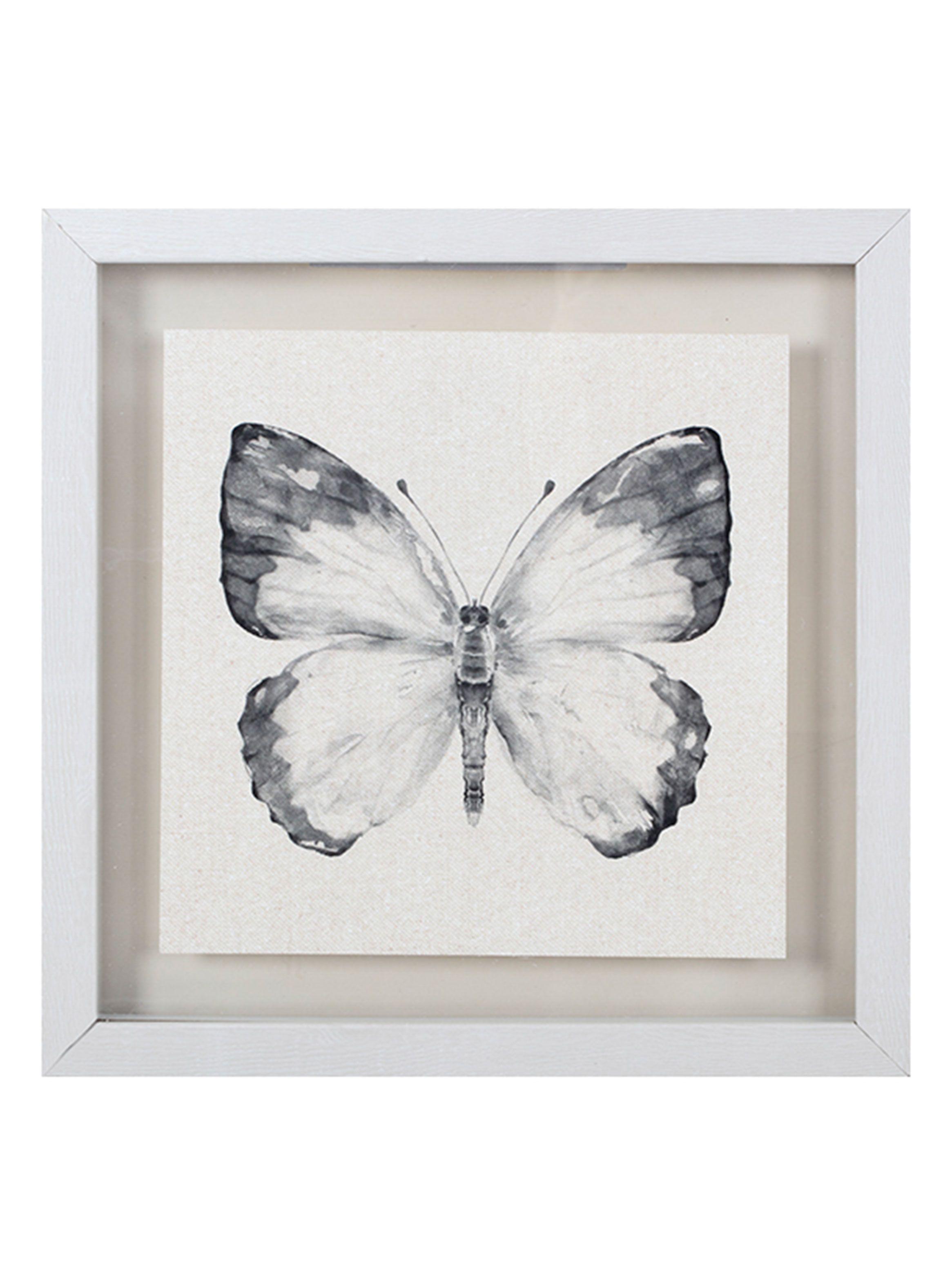 Cuadro Mariposa 40x40 cm-0