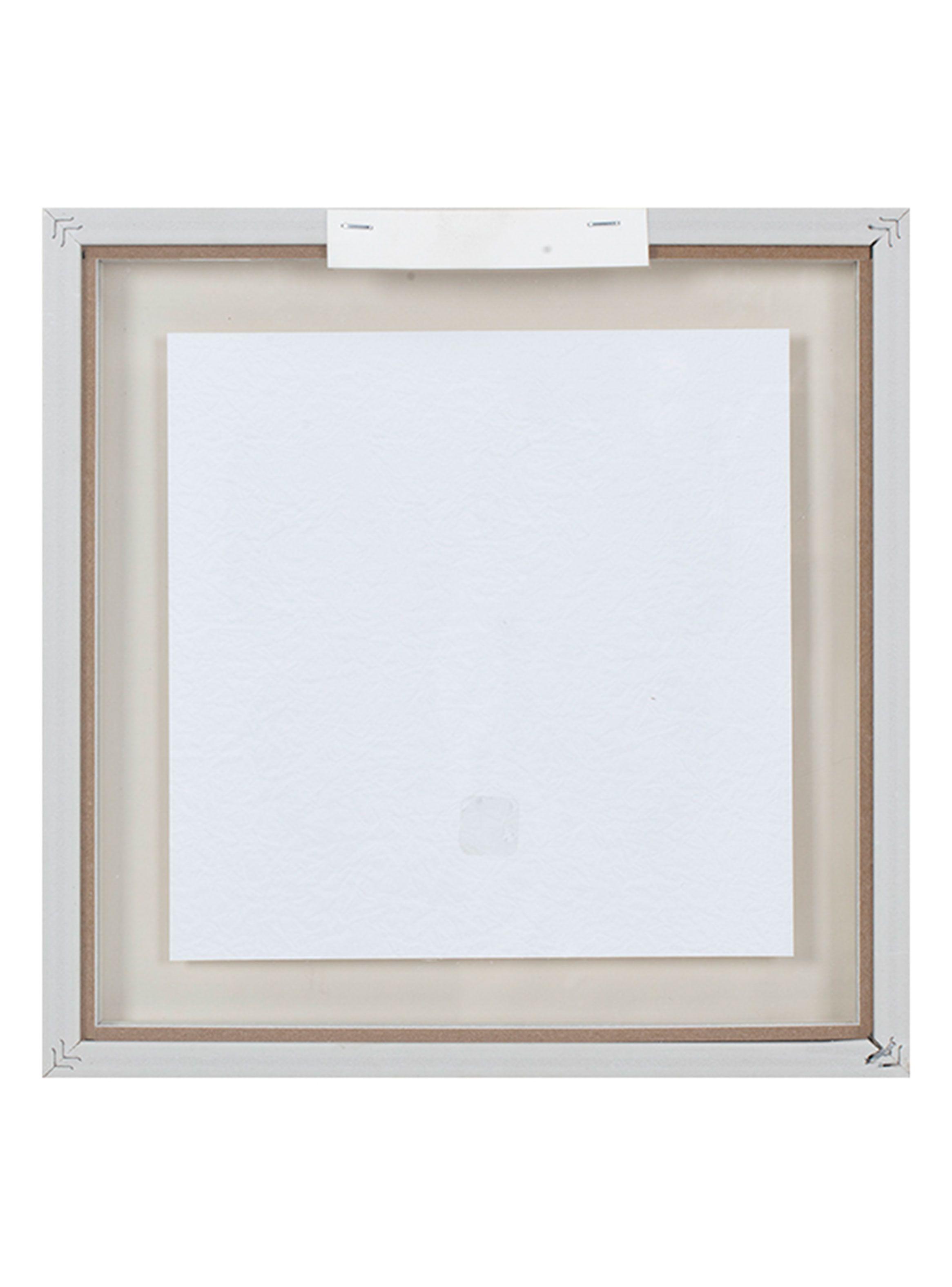 Cuadro Mariposa 40x40 cm-1