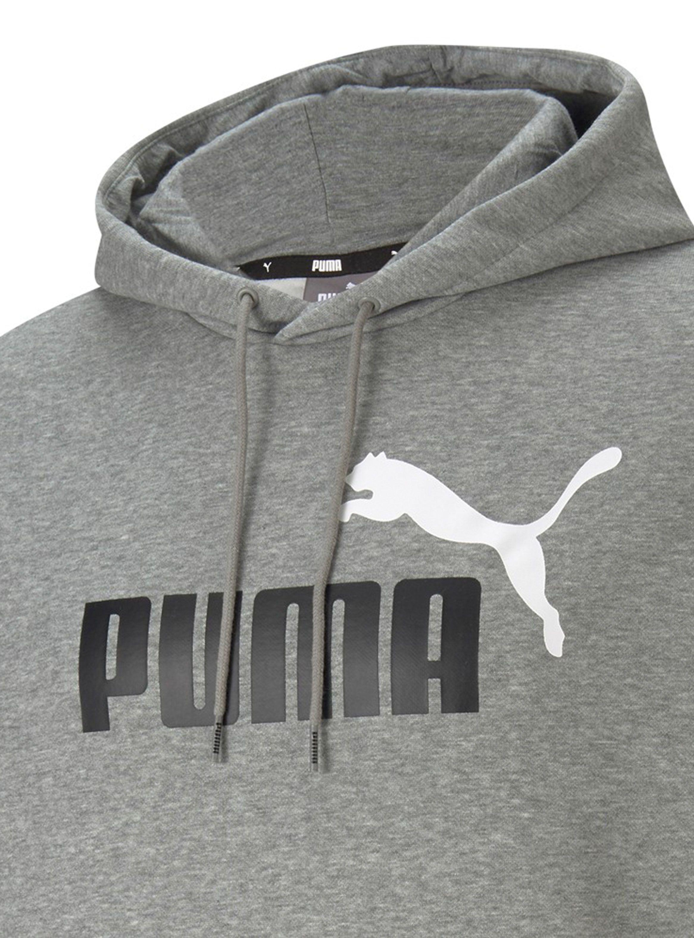 Polerón Ess+ 2 Col Big Logo Hoodie Fl-2