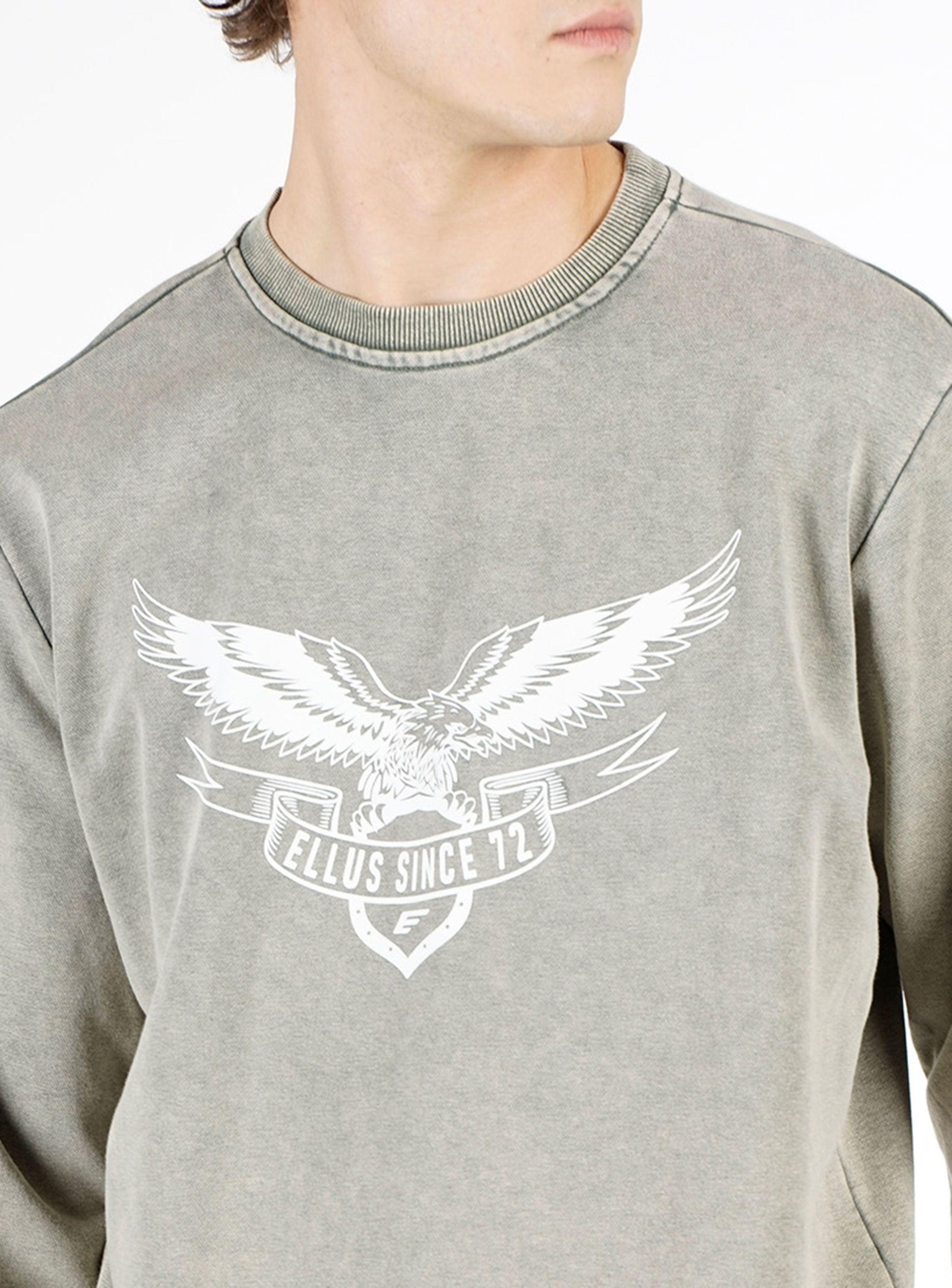 Polerón Crew Neck Terry Pigment Dye-2