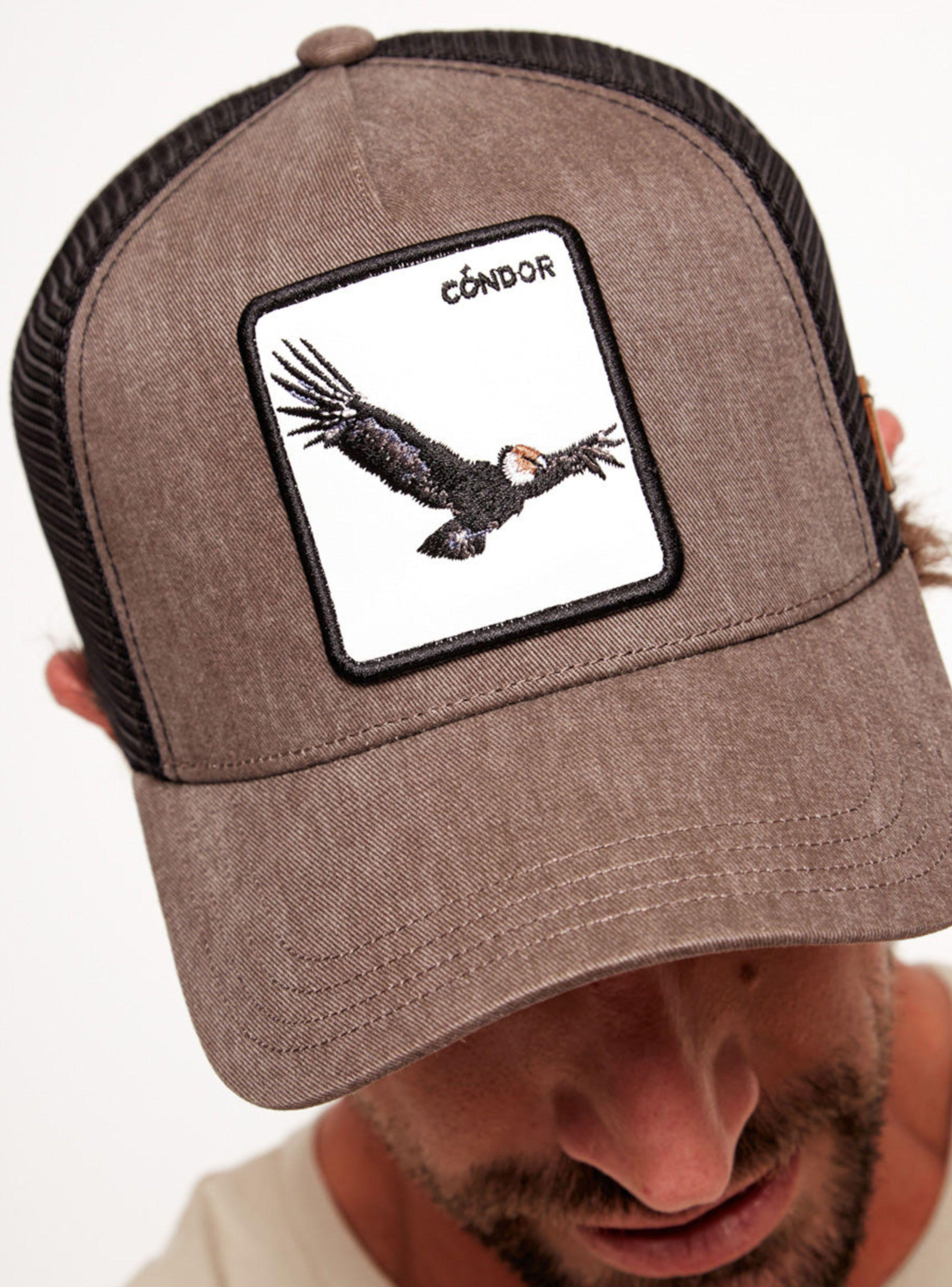 Jockey Condor Causa-4