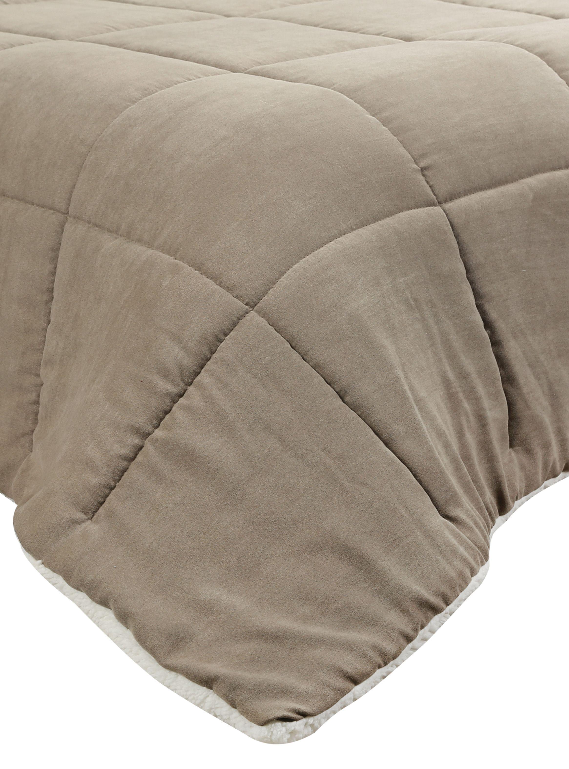 Quilt Sherpa 1.5 Plazas Suede-2