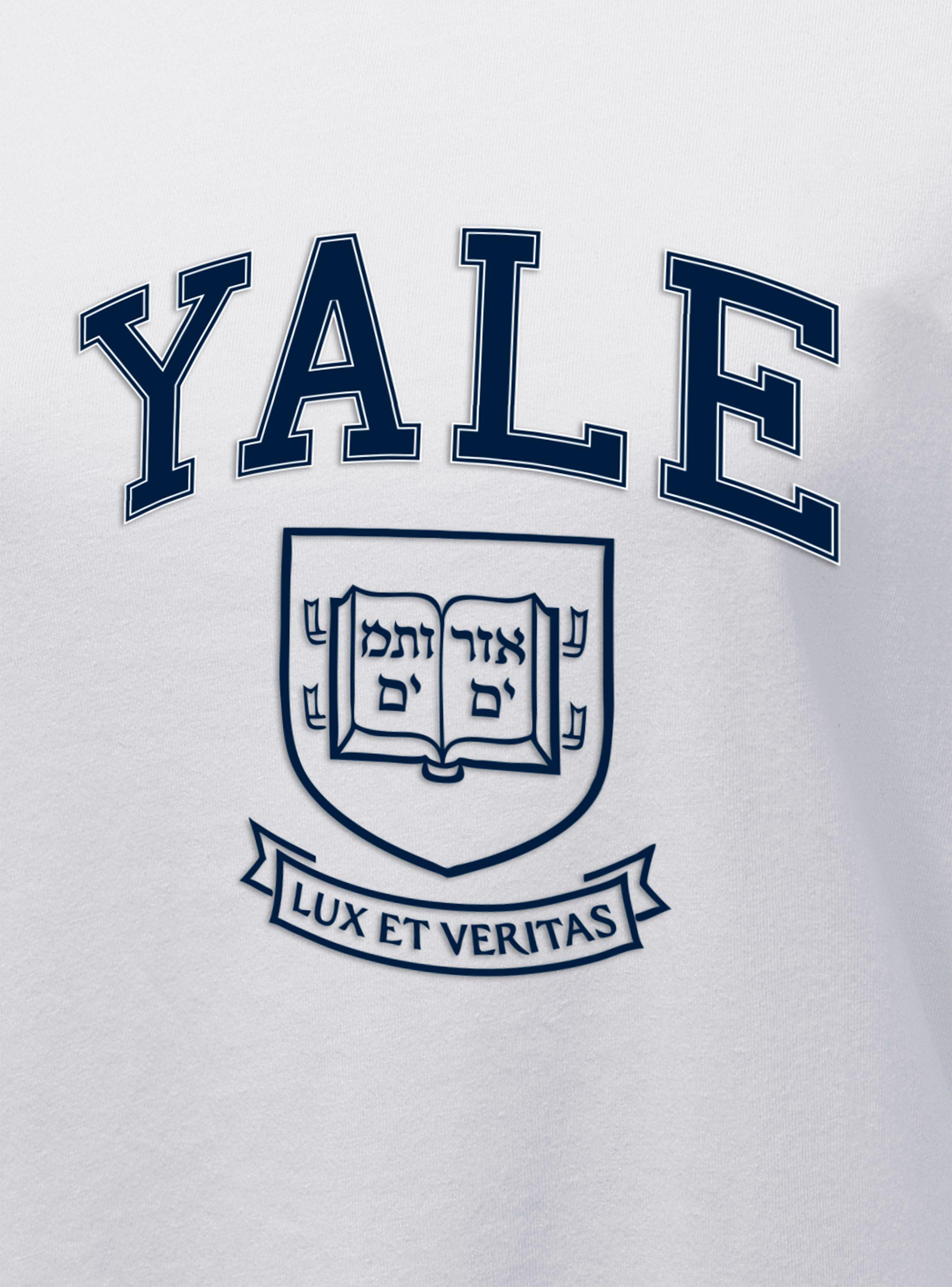 Crop Top Diseño Yale Preppy Style-Shield-2