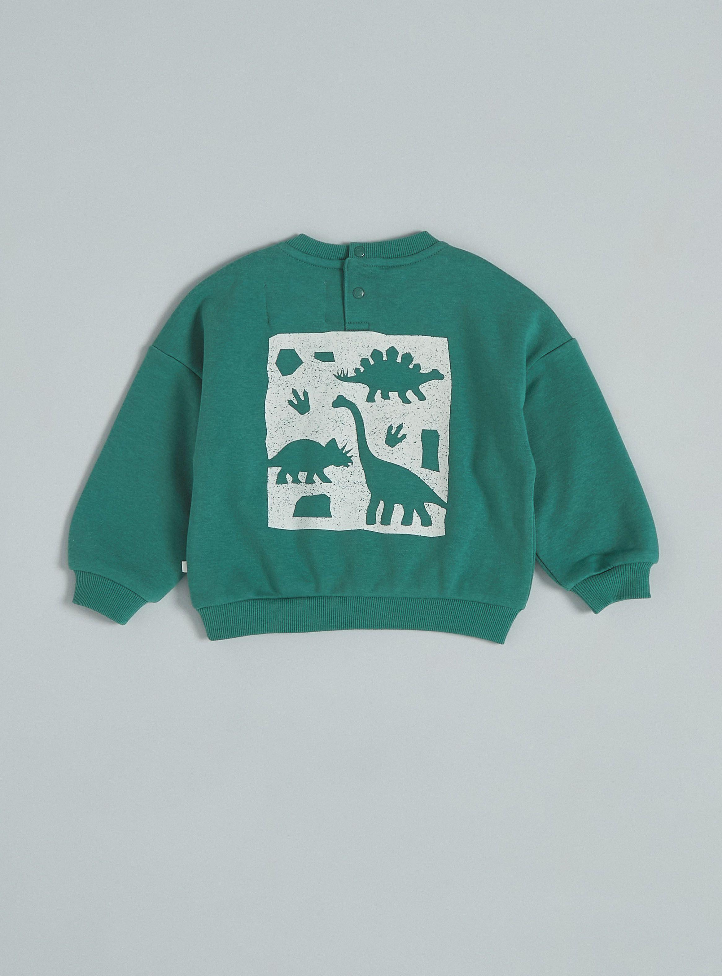 Polerón Niño Estampado Flock Dinosaurio-1