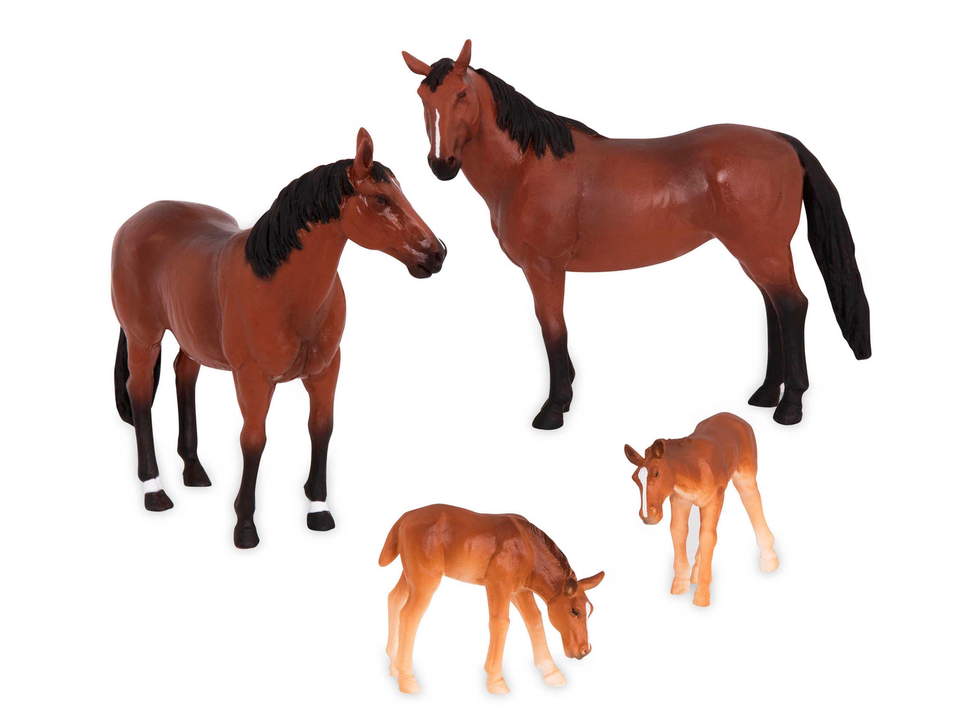 Terra Familia de caballos Caramba-0